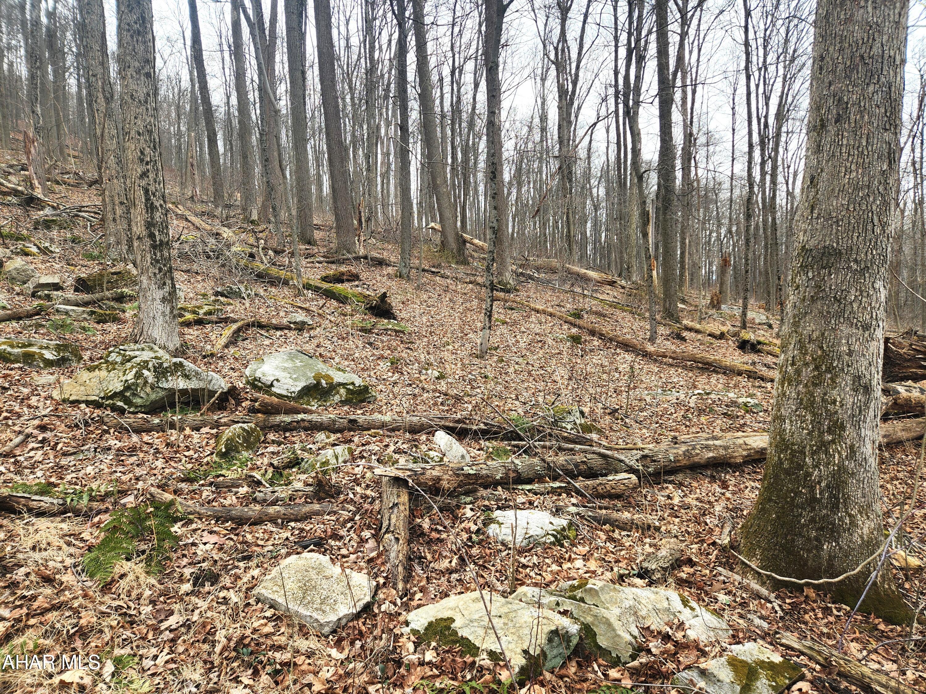 None - Commercial Sale