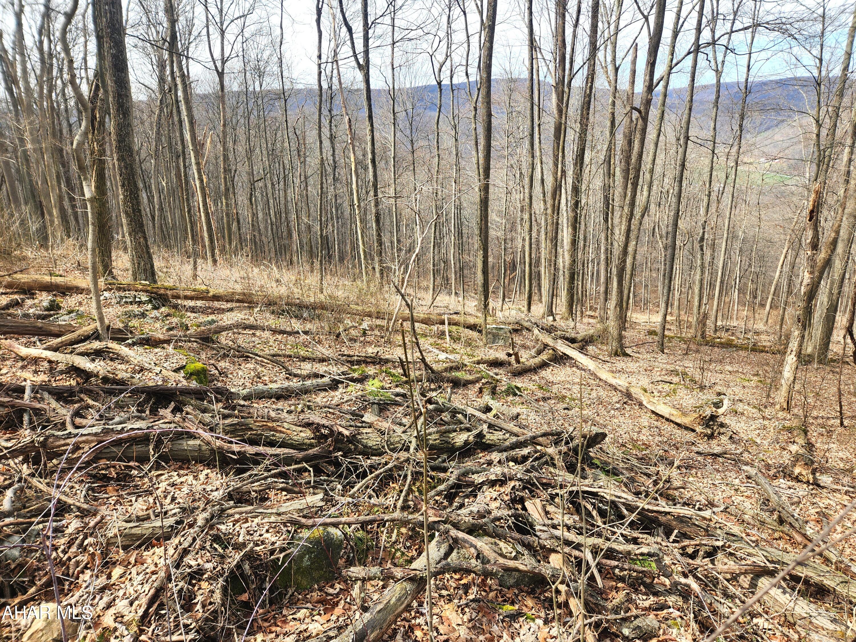 None - Commercial Sale