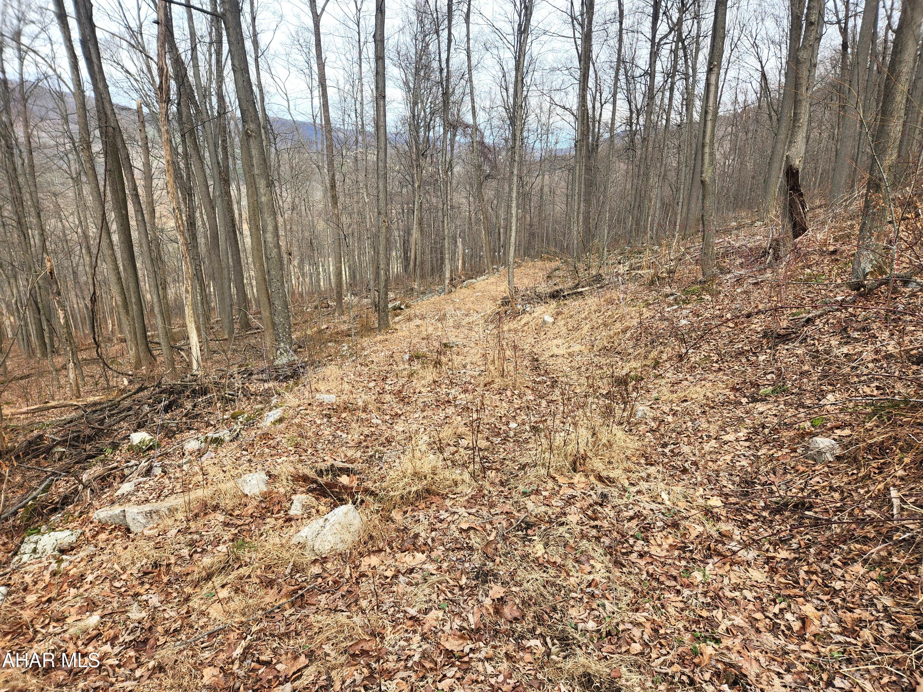 None - Commercial Sale