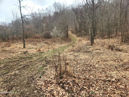 303 WAKE RD, BUFFALO MILLS, PA 15534 - Image cabcfc49a99311b4a0941fe5374ecbbf/3149606196