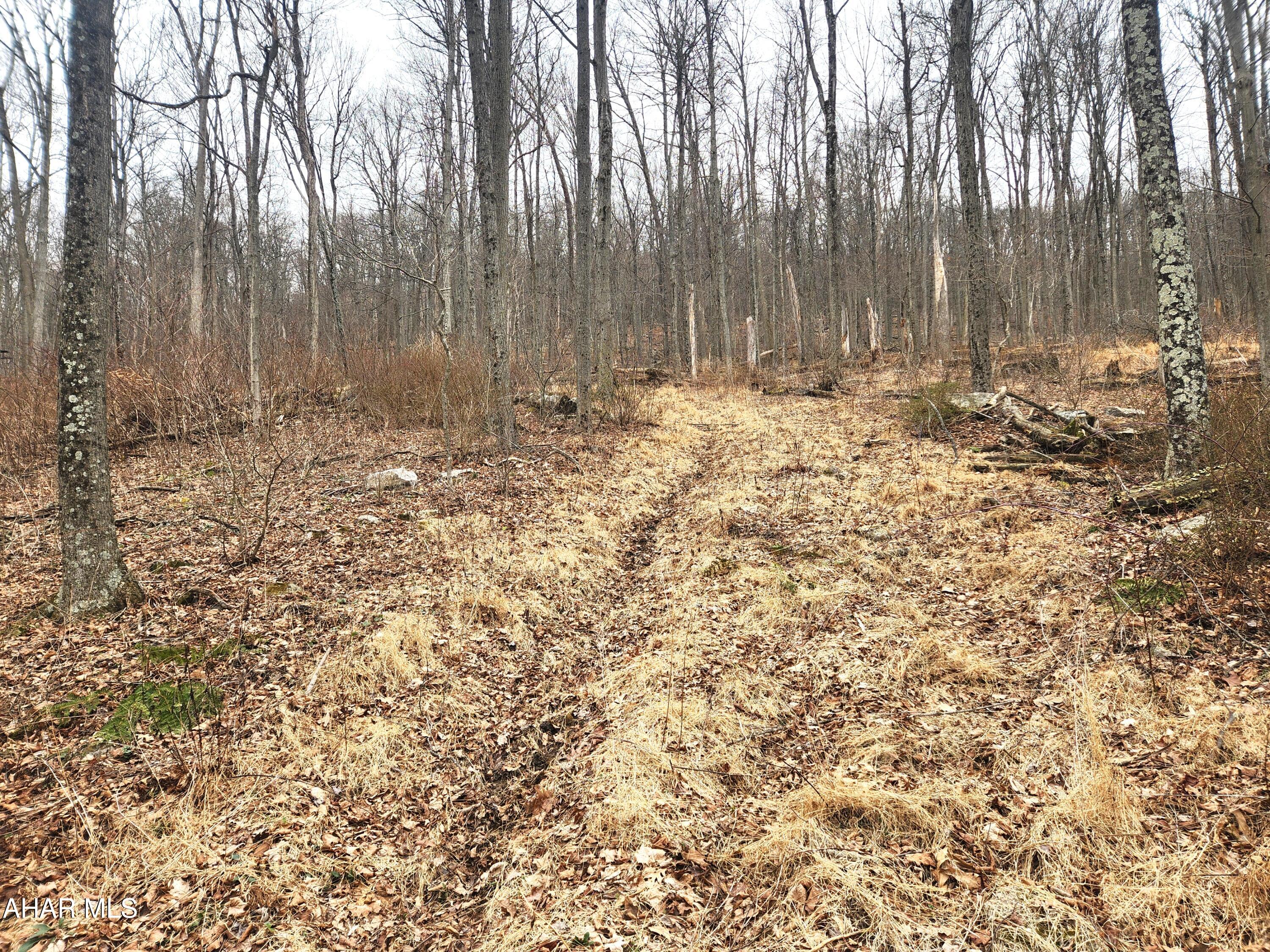 None - Commercial Sale