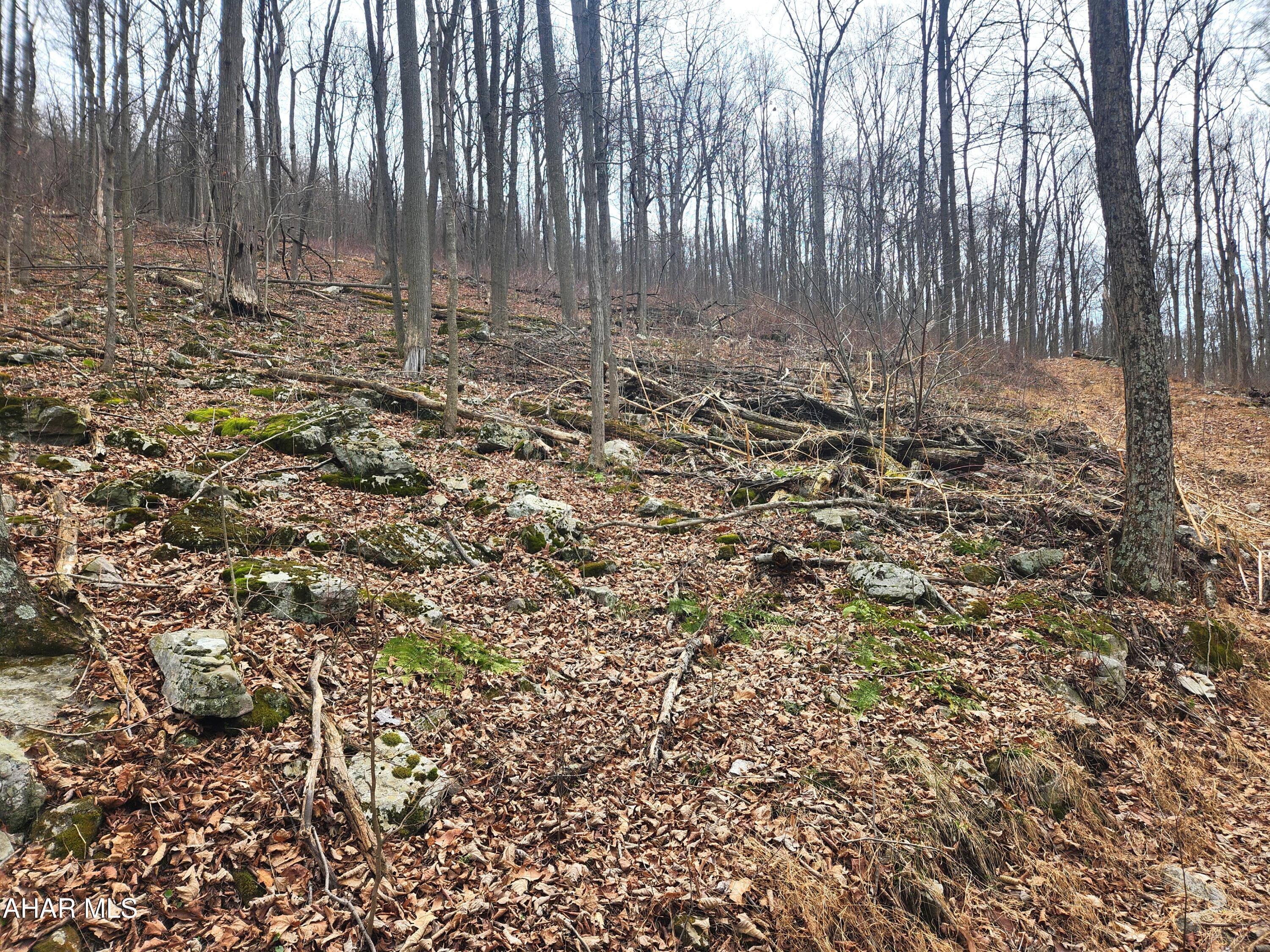 None - Commercial Sale