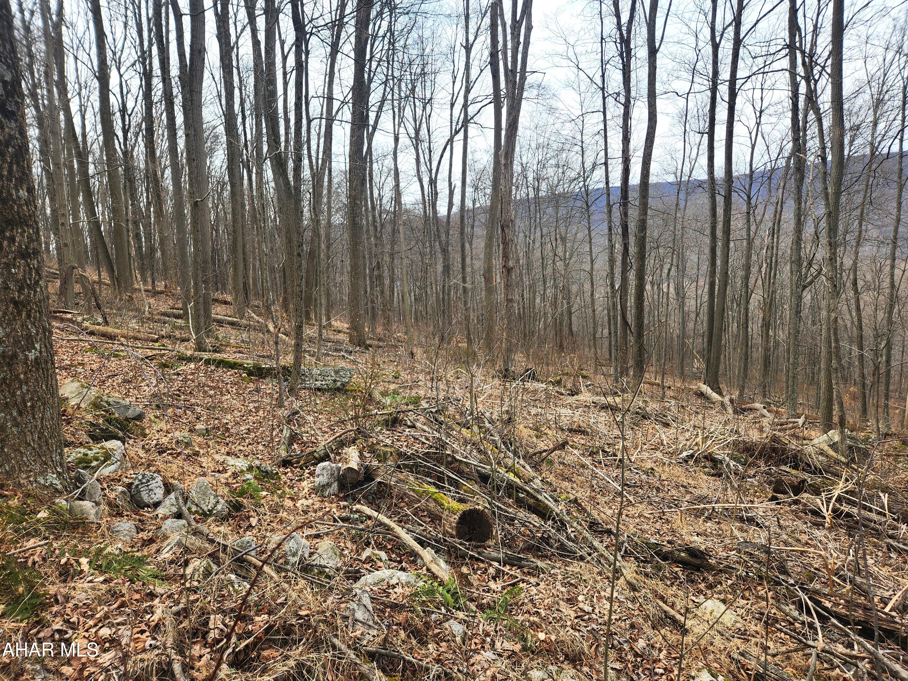 None - Commercial Sale