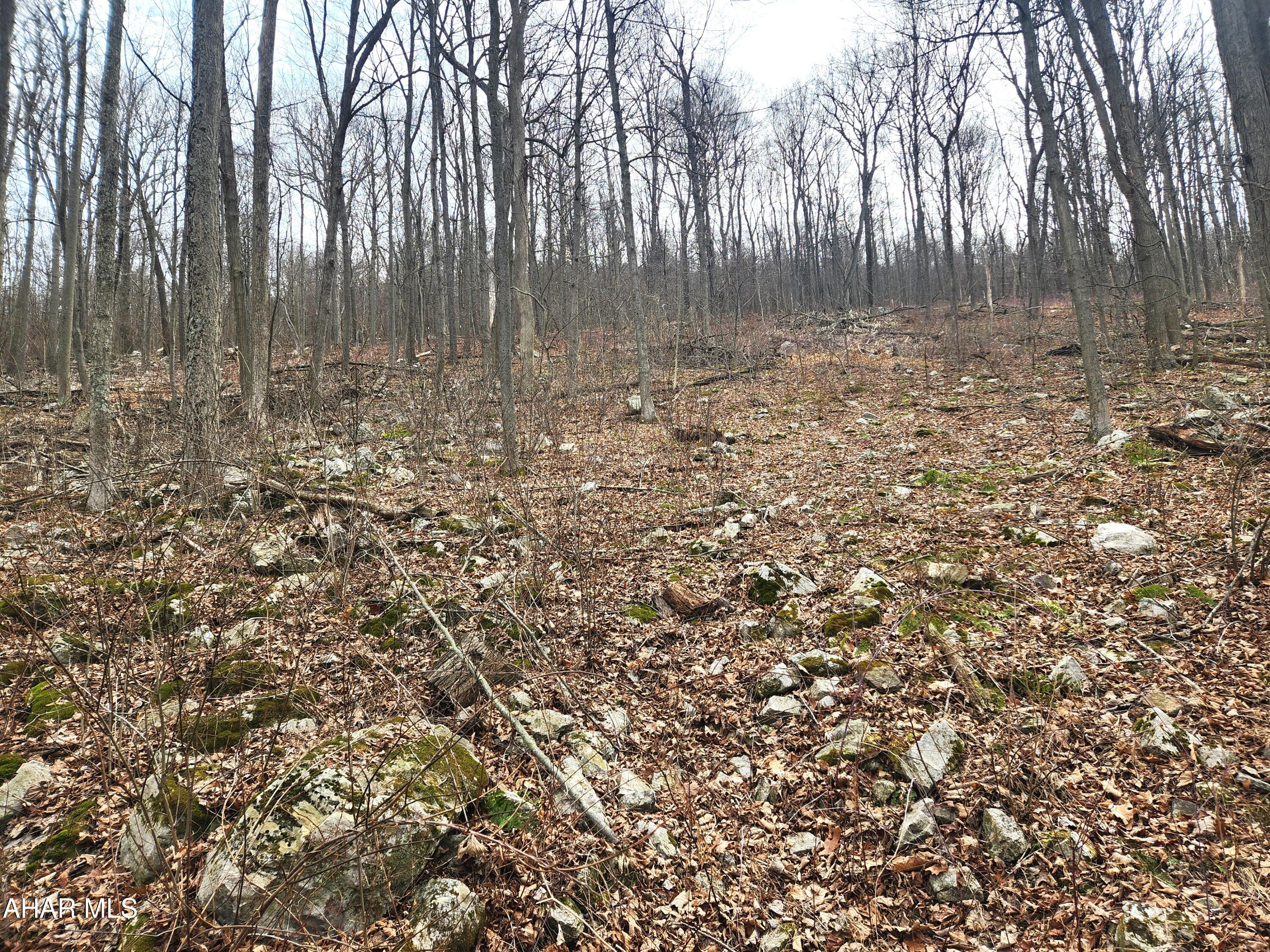 None - Commercial Sale