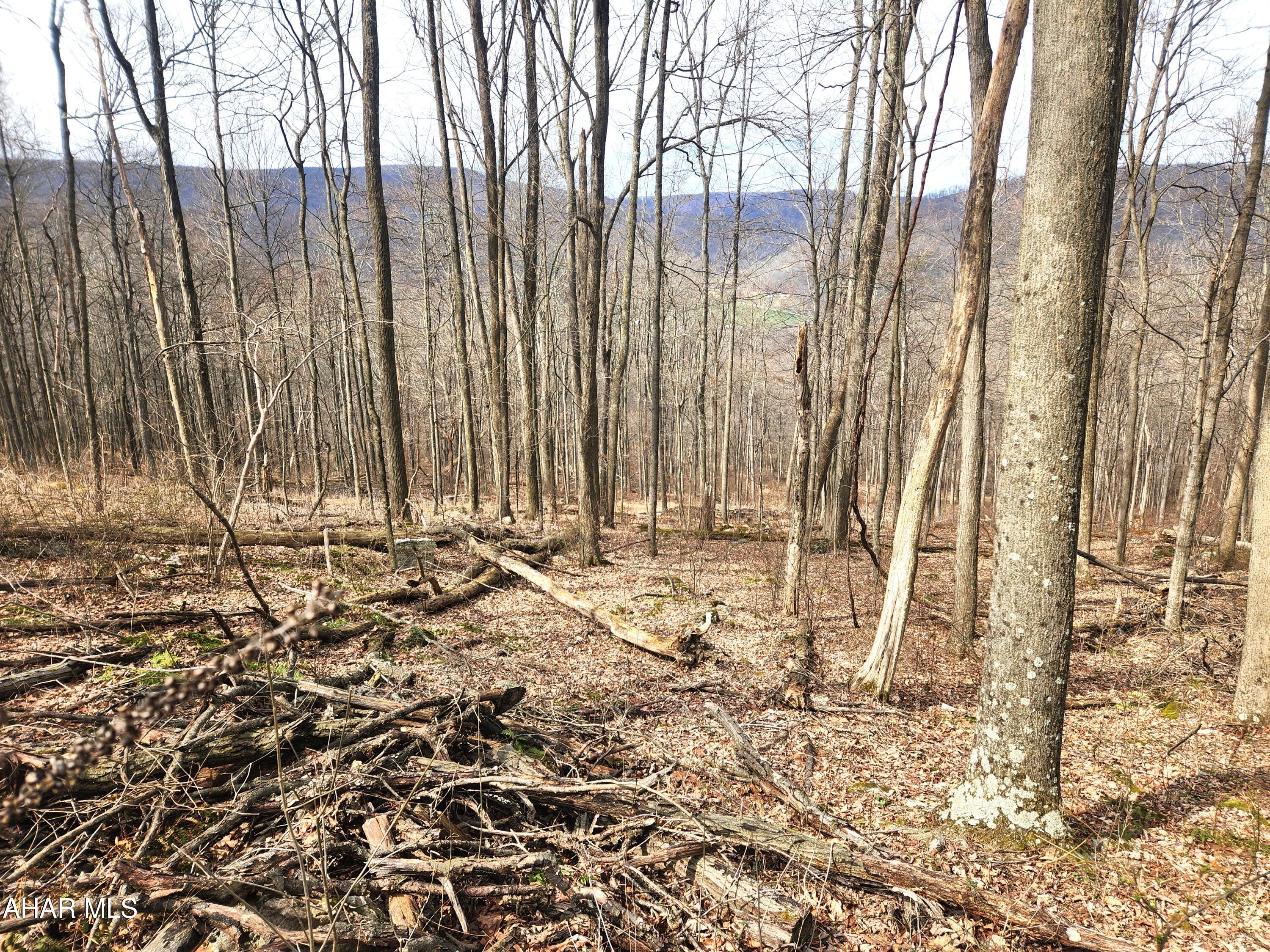 None - Commercial Sale