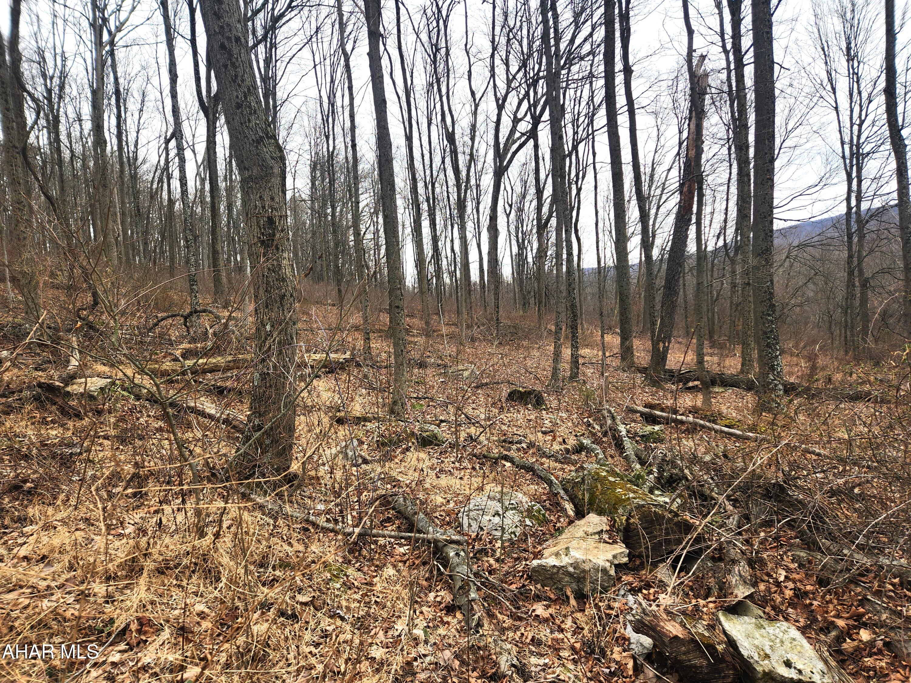 None - Commercial Sale