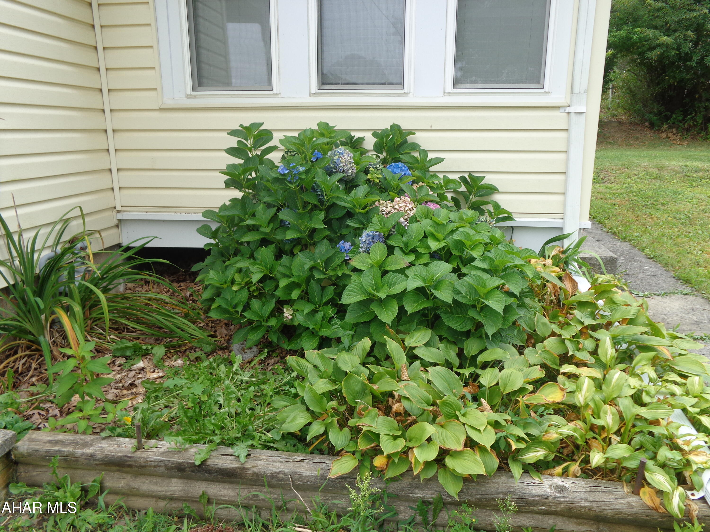 Calvert Hills - Residential