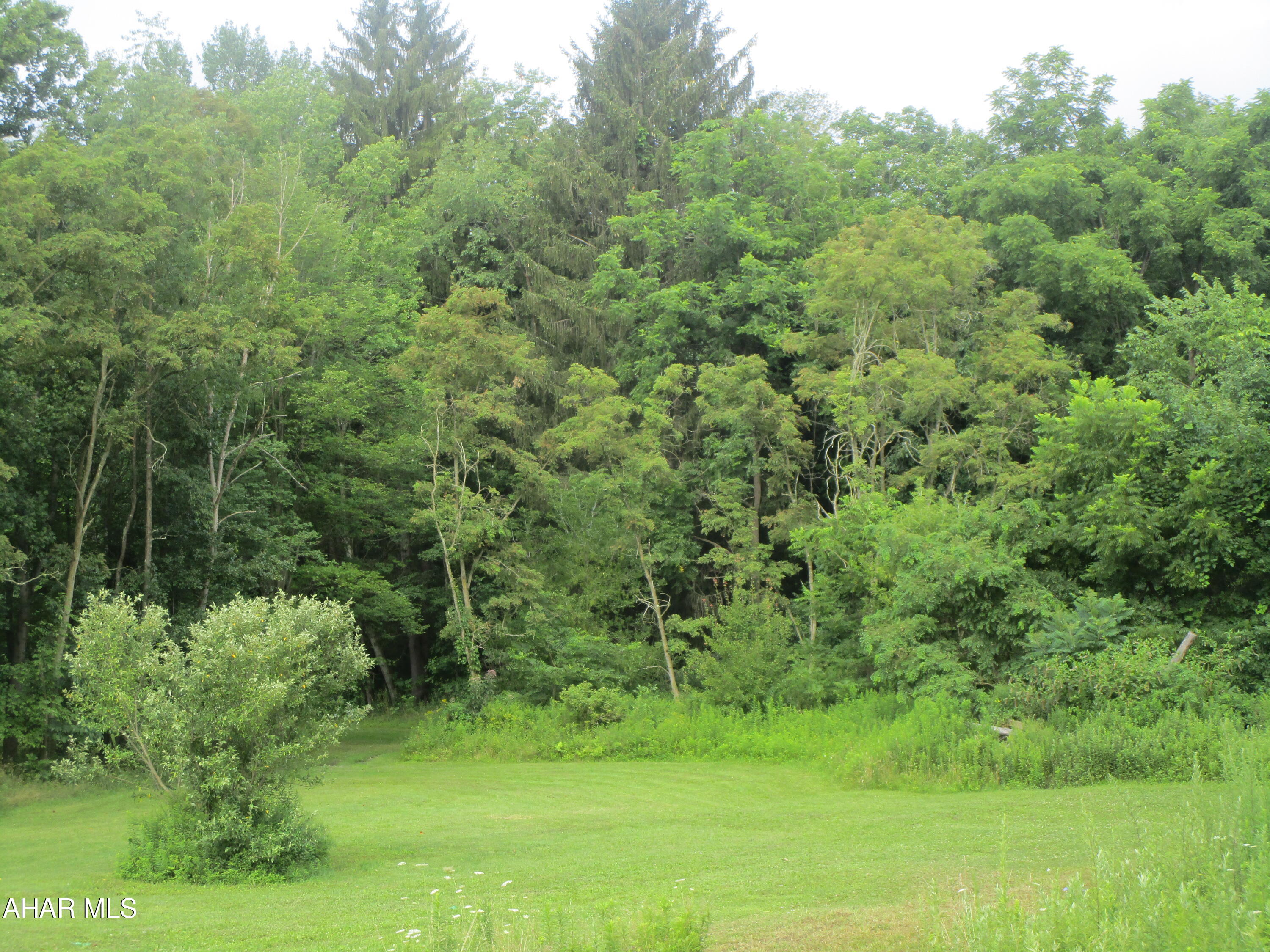 Antis Township - Land