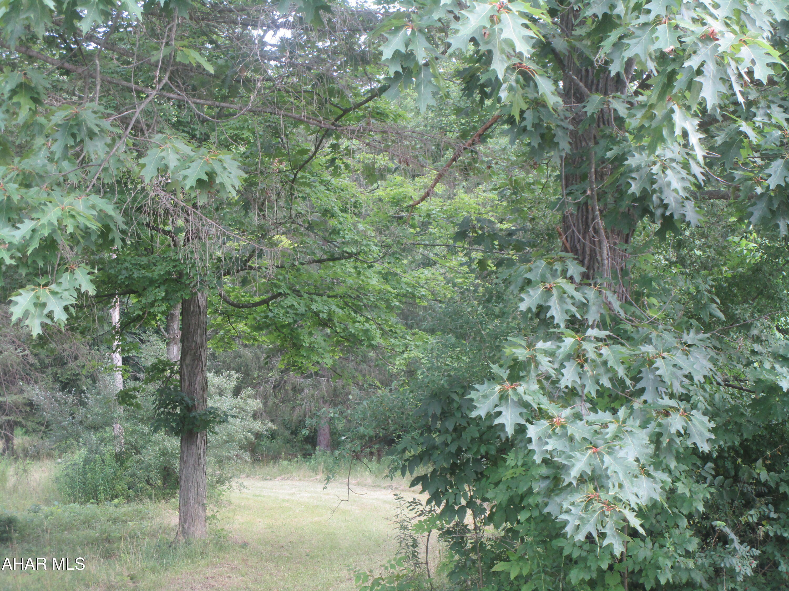 Antis Township - Land