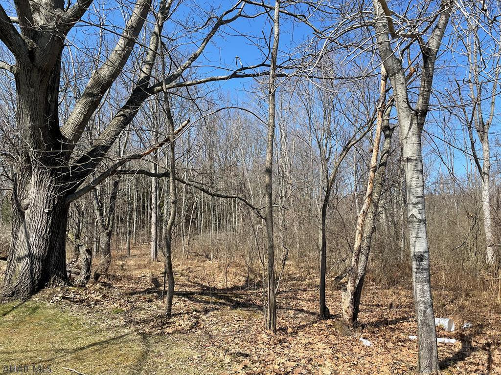 Antis Township - Residential