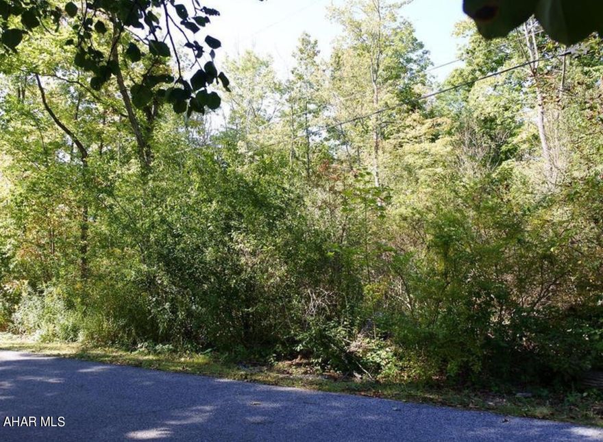 Flat, building lot in a great location..tucked away, but close to downtown Hollidaysburg, YMCA and Schools. Public utilities are available.  Lot #31 is being sold along with Lot #29.  A small portion of 31 is in a flood zone, but still buildable....Lot 29 is not in a flood zone. Total lot size is approx 3.34.