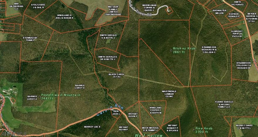 Here is your hunting paradise - over 135 acres of wooded land with abundant wildlife. Timber and mineral rights are included! Was timbered 10 years ago. Close to Blue Knob Ski resort. Picture on listing depicts land in the center with Carol Black et al as the owner. Note that this is being marketed as recreation and hunting ground. There is a small stream to cross and there is no structure or utilities present. A buyer would likely have to put a bridge across the stream and put in a sand mound and well as well as run electric to the property at a minimum to put a residence on this parcel.