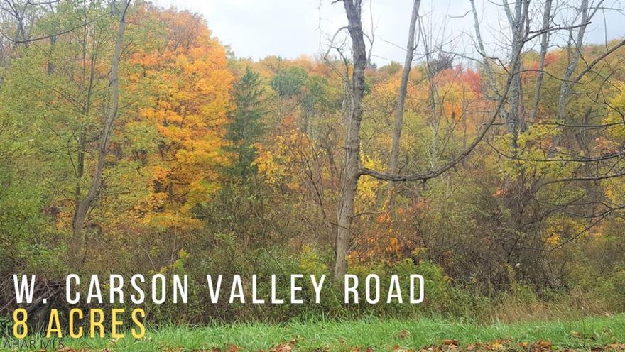 Thinking of building?  Check out this 8 ACRE lot on scenic W. Carson Valley Road!  Feel the privacy of the area but still remain relatively close to everything.  Prior perc test on file. 5+ wooded acres.  Call for more info!