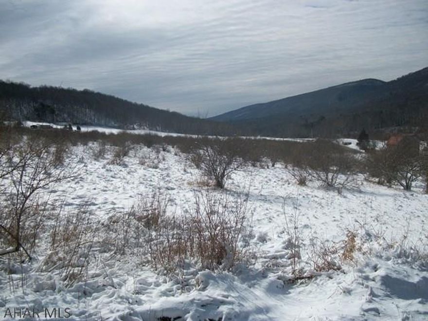 Very nice parcel consisting of 3 lots sold as one sale 21.68 acres in total. Approx. 12 acres overgrown pasture , balance in hardwood timber. Adjacent to Pa. State game lands. Frontage on Black Valley Rd. and Monroe Twp. 351