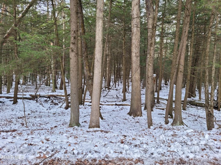 Flat, wooded lot to build your dream home or getaway cabin. Public water and sewer available.  

Seller is motivated to sell.