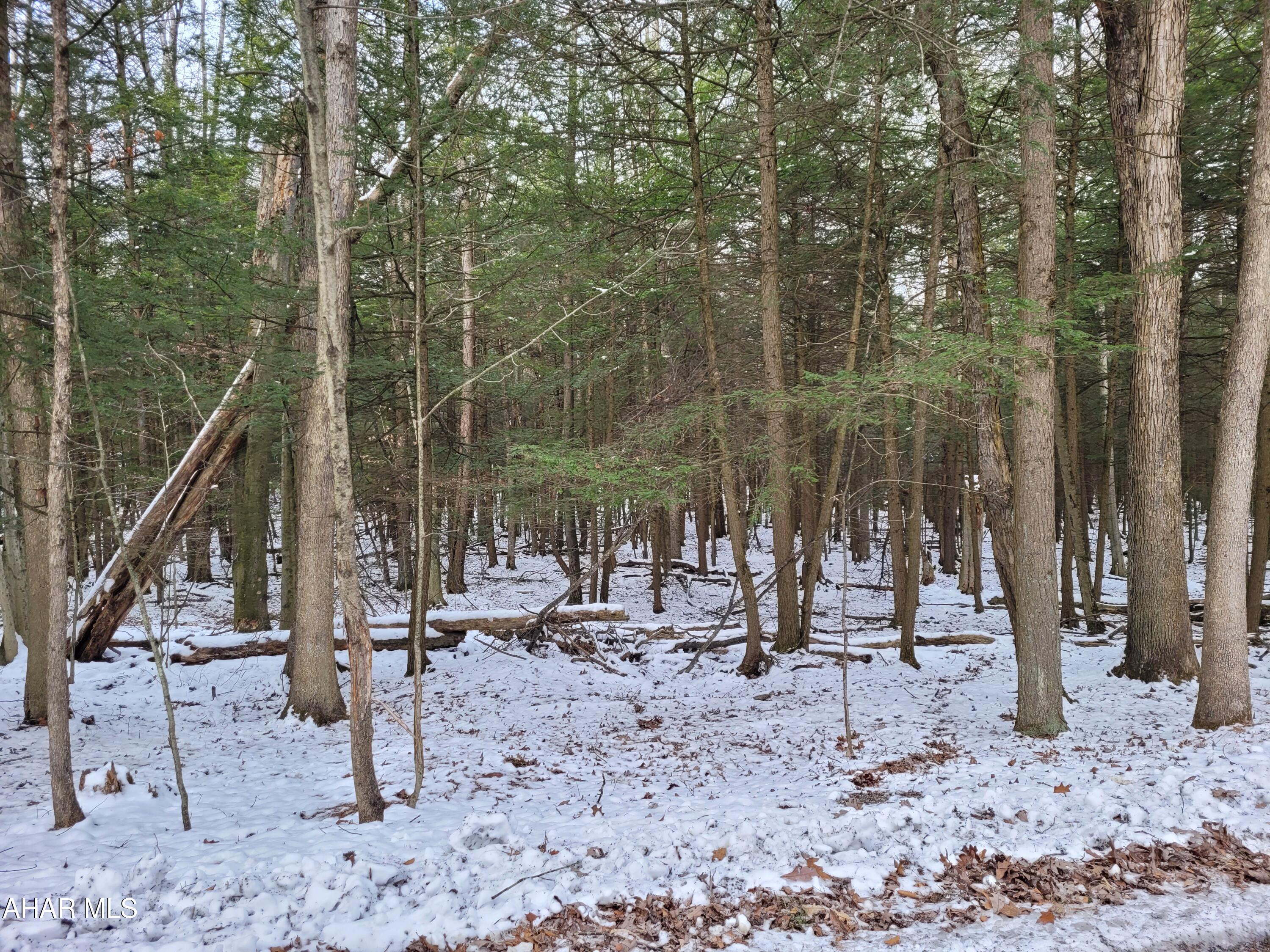 Glendale Yearound - Land