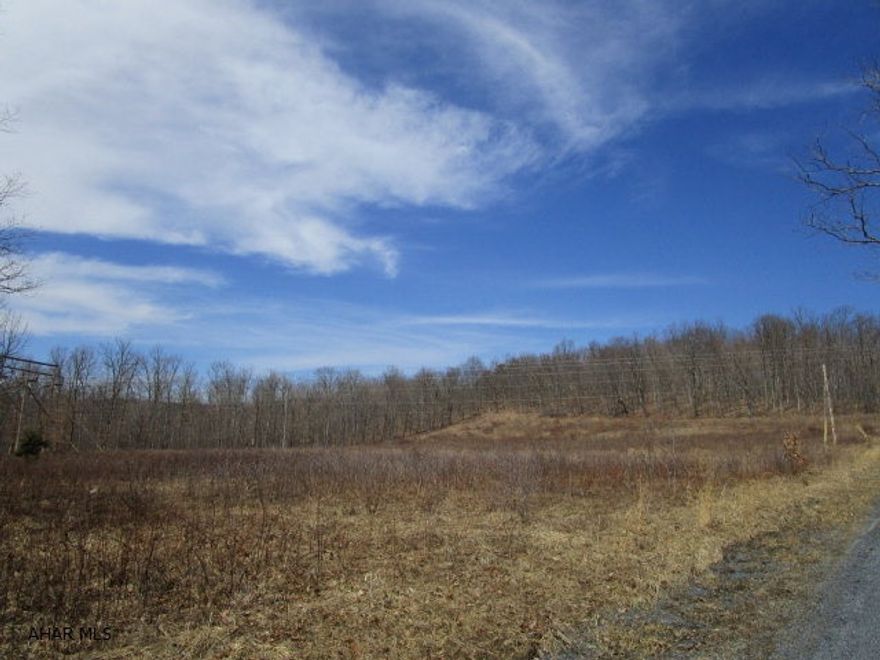13.62 acres of wooded & open land. Corner lot with road frontage along Black Hollow & Mill Roads. Two separate parcels being sold together. Survey on file.  Nice parcel for getting away, hunting or to build a home.