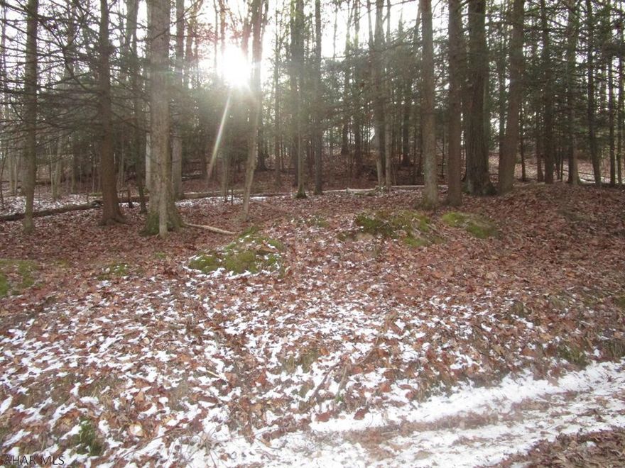 Private  wooded home site with available city water / sewer and electricity.  This lot straddles Red Oak Road and Forest Brook Road giving you access from either end.  Build your home or get-away in the woods and near the lake.