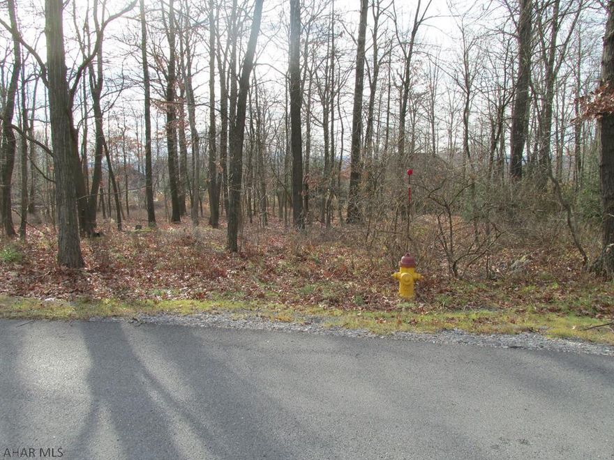 Prime building lot in "The Glades" - fairly level and wooded.  All utilities present.  Seller is related to Listing Agent.