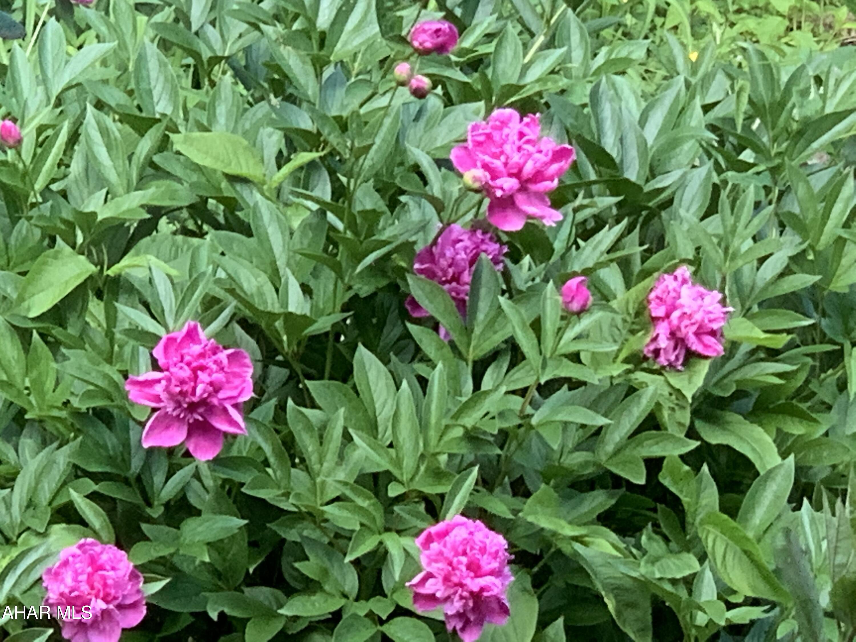 Sylvan East - Residential