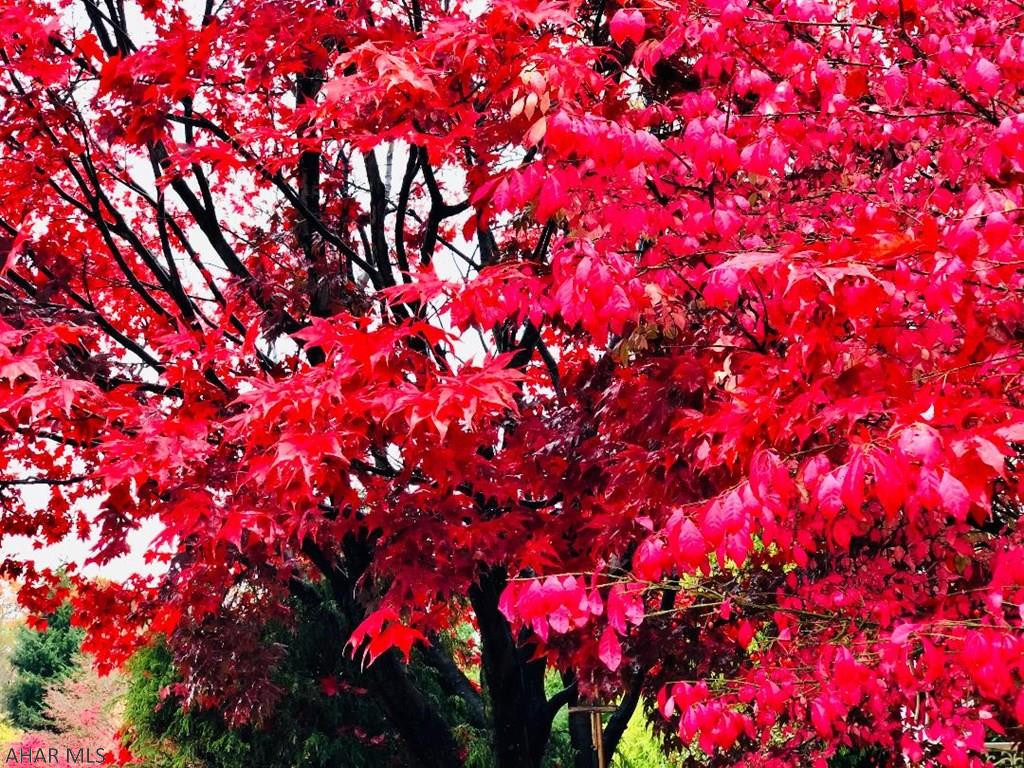 Stonehedge - Residential