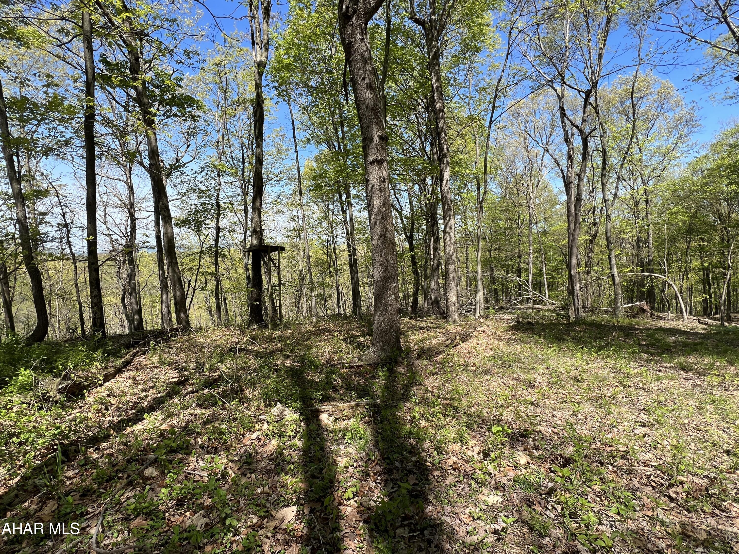 None - Commercial Sale