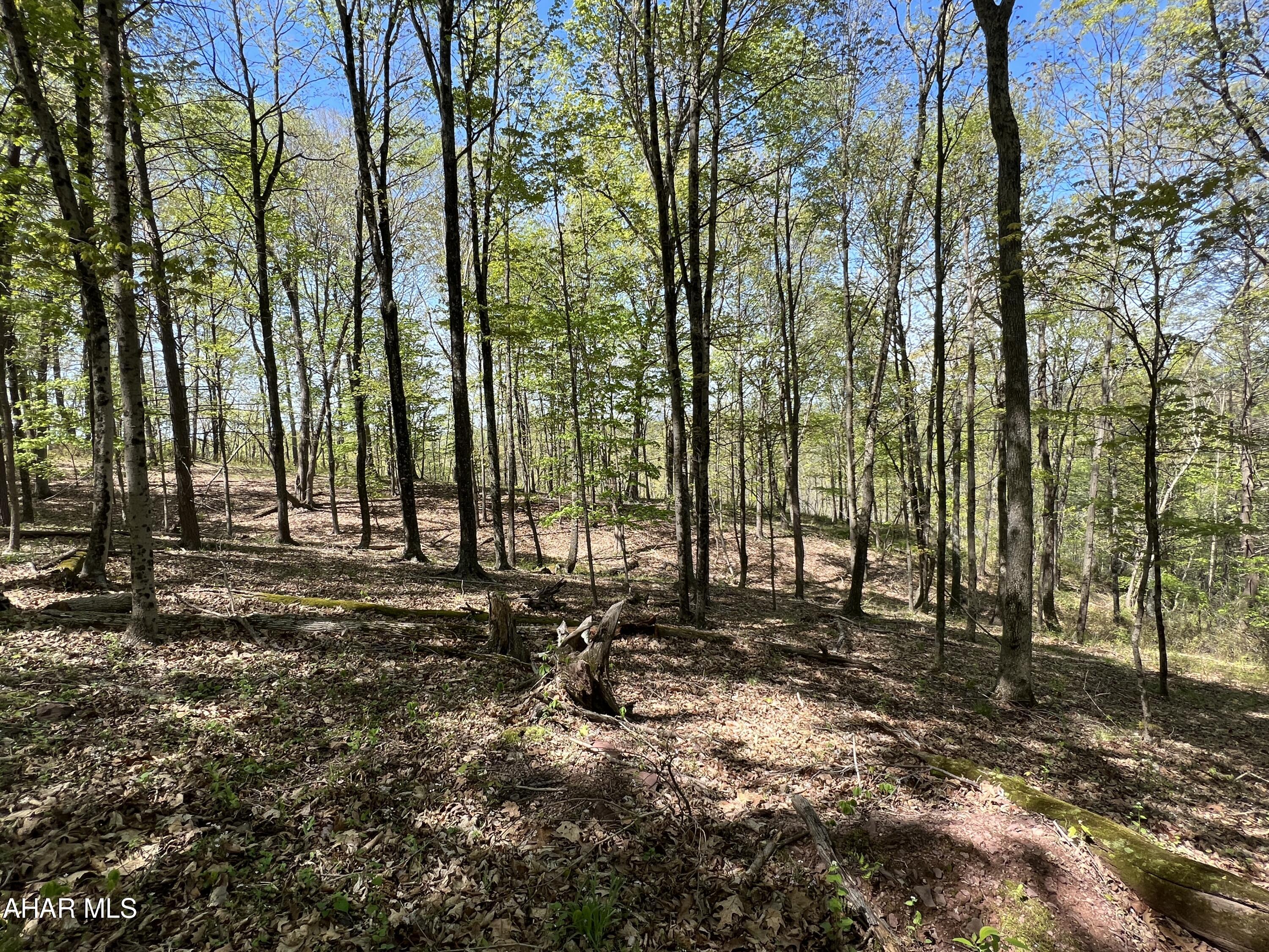 None - Commercial Sale