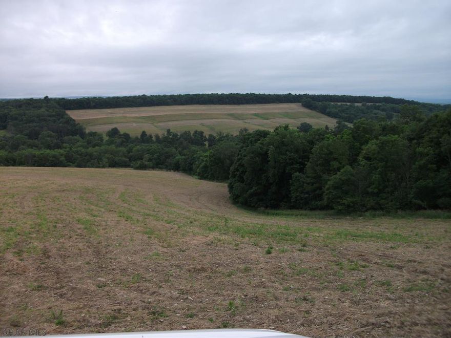 Secluded 50 acre farm with wood land in Bedford County Pennsylvania.  Excellent get away spot or permanent residence with plenty of wildlife.  Approximately 30 acres of tillable land currently leased.