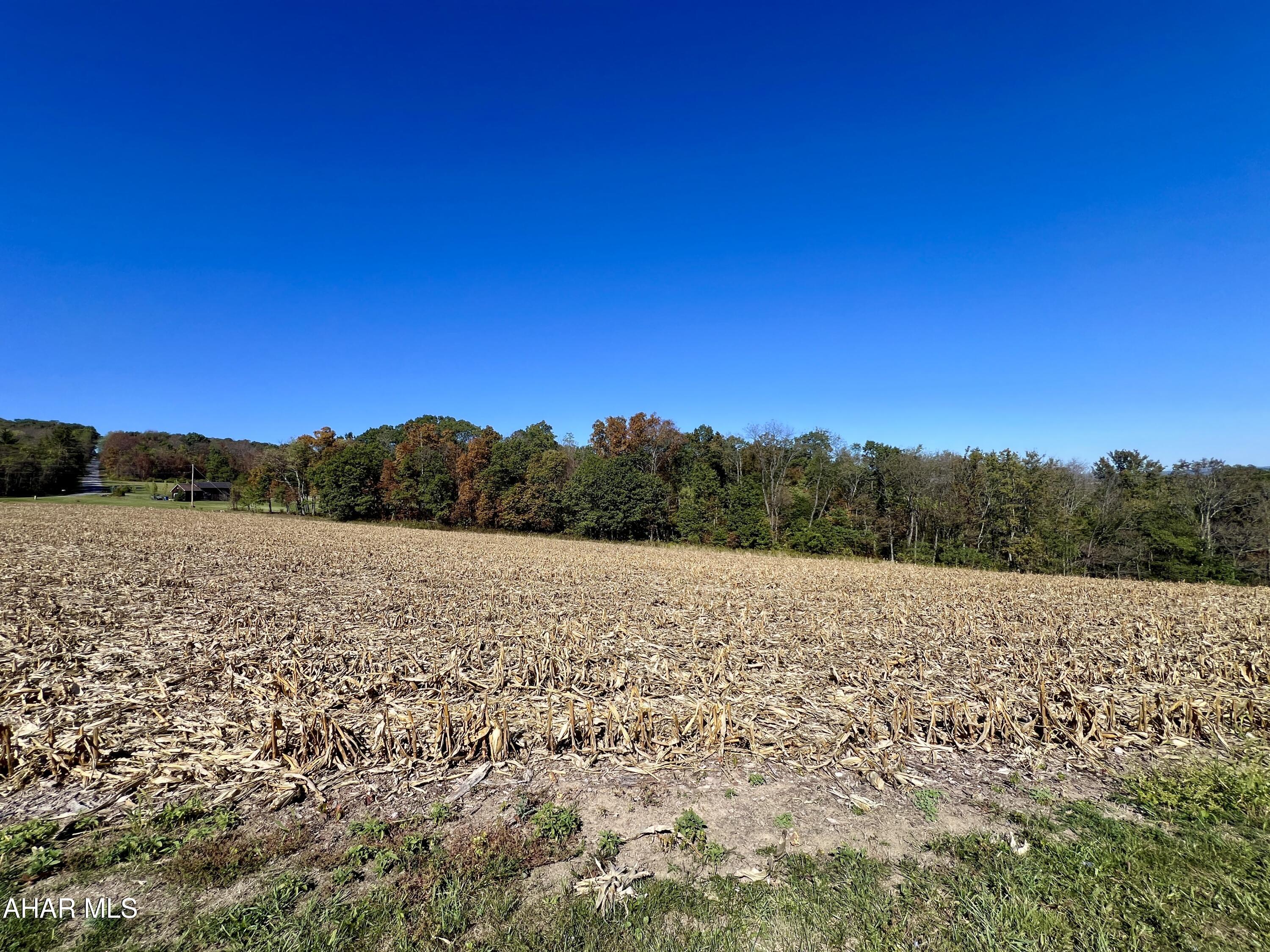 None - Commercial Sale