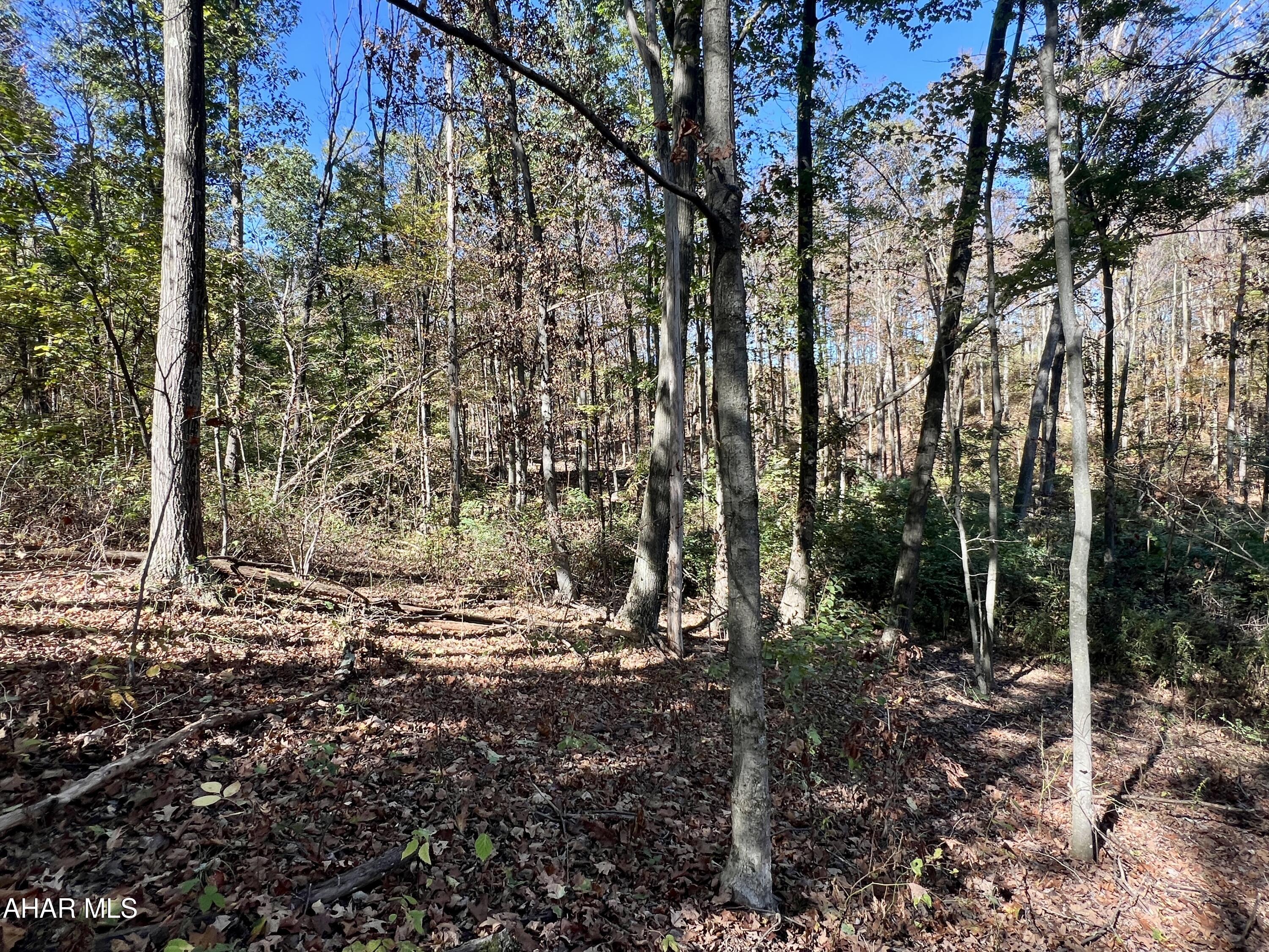 None - Commercial Sale