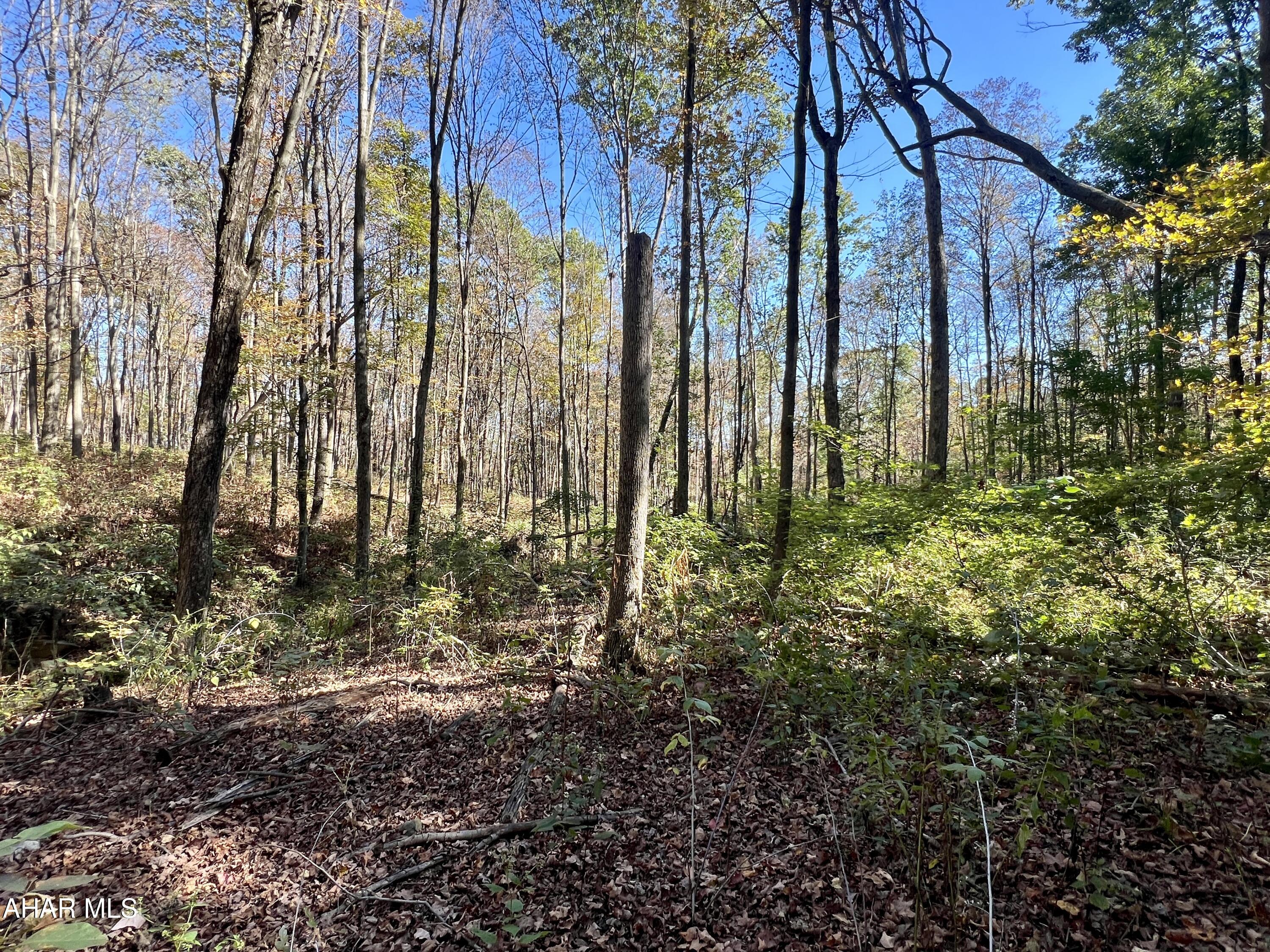 None - Commercial Sale