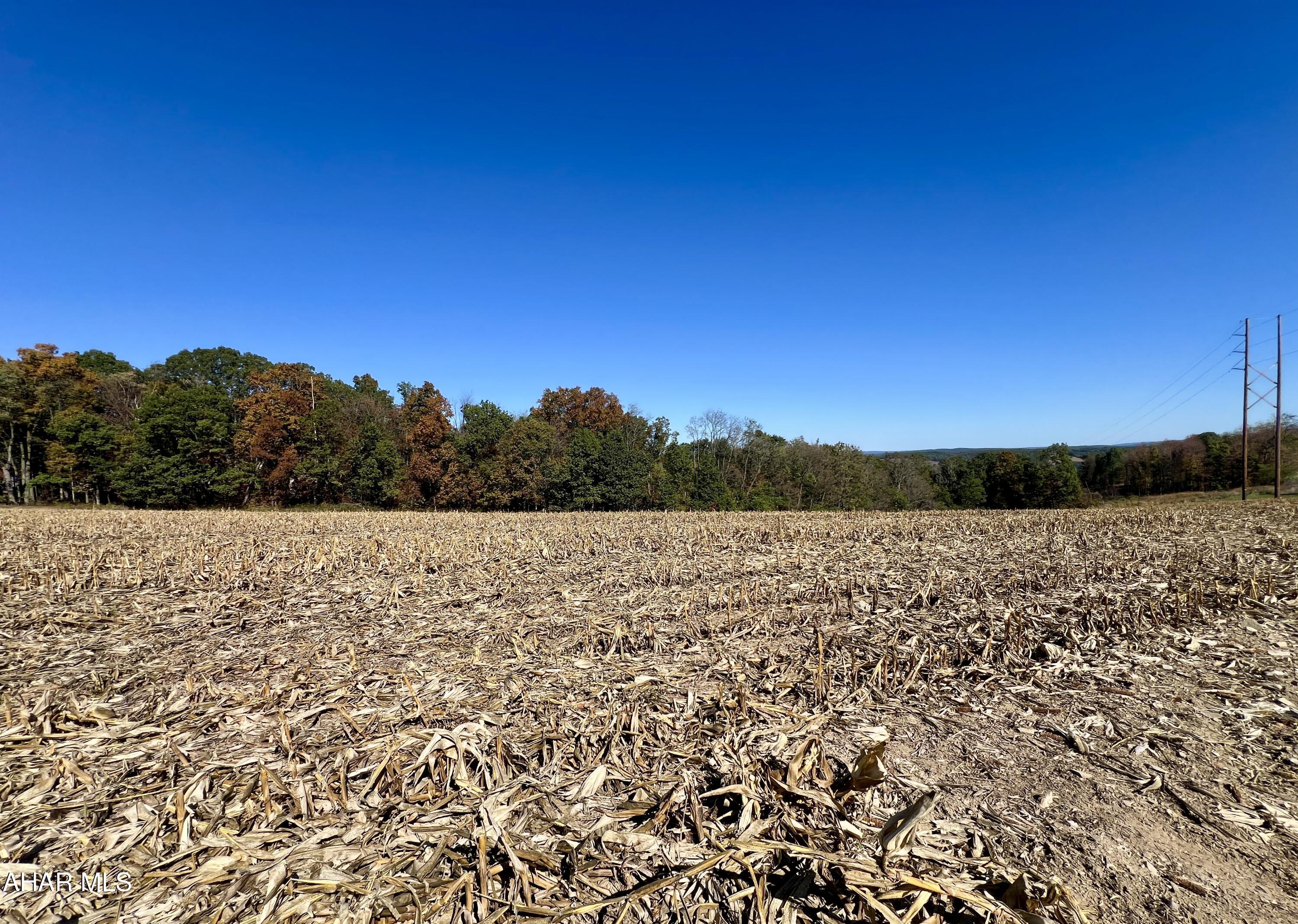 None - Commercial Sale