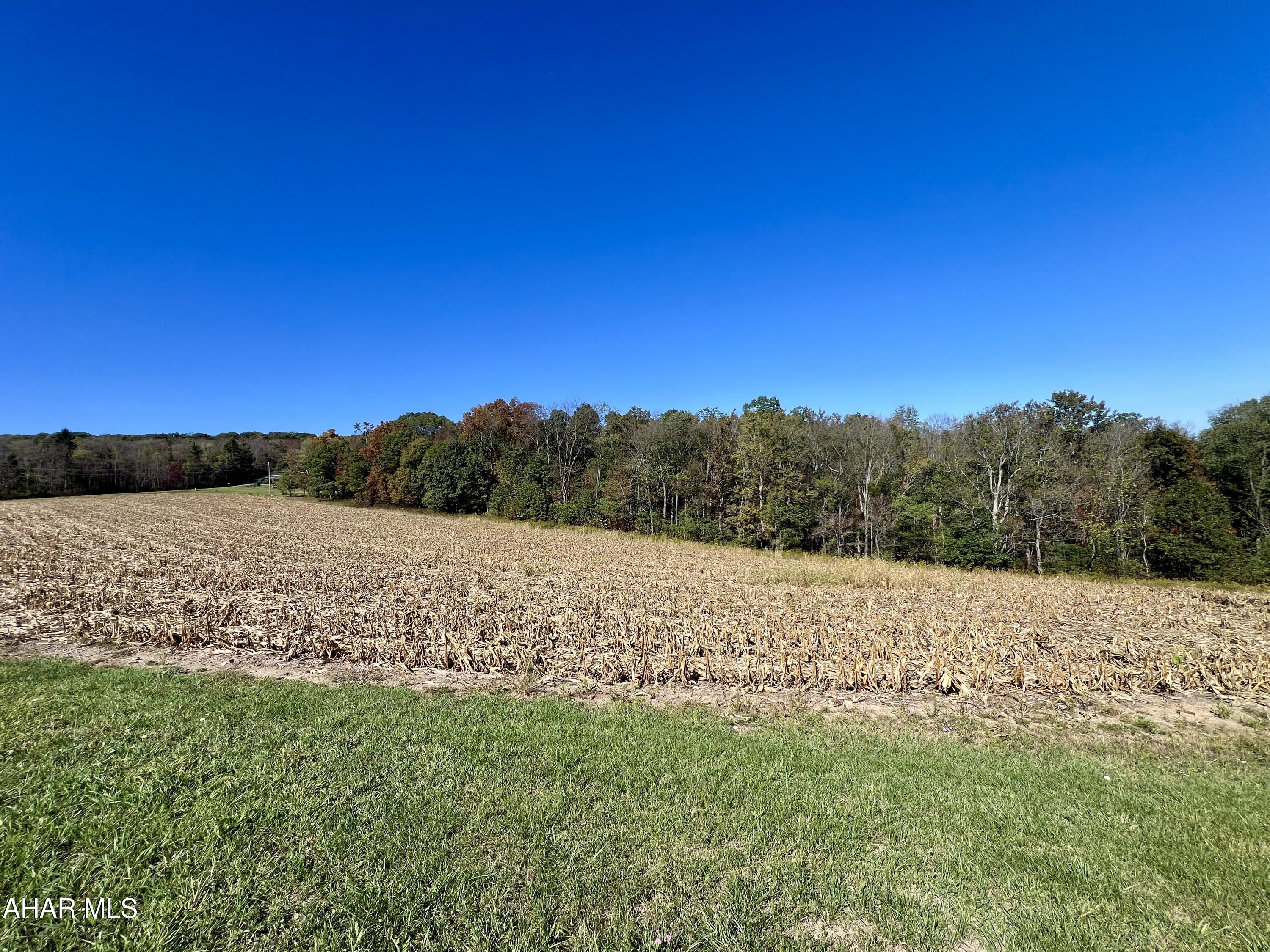 None - Commercial Sale