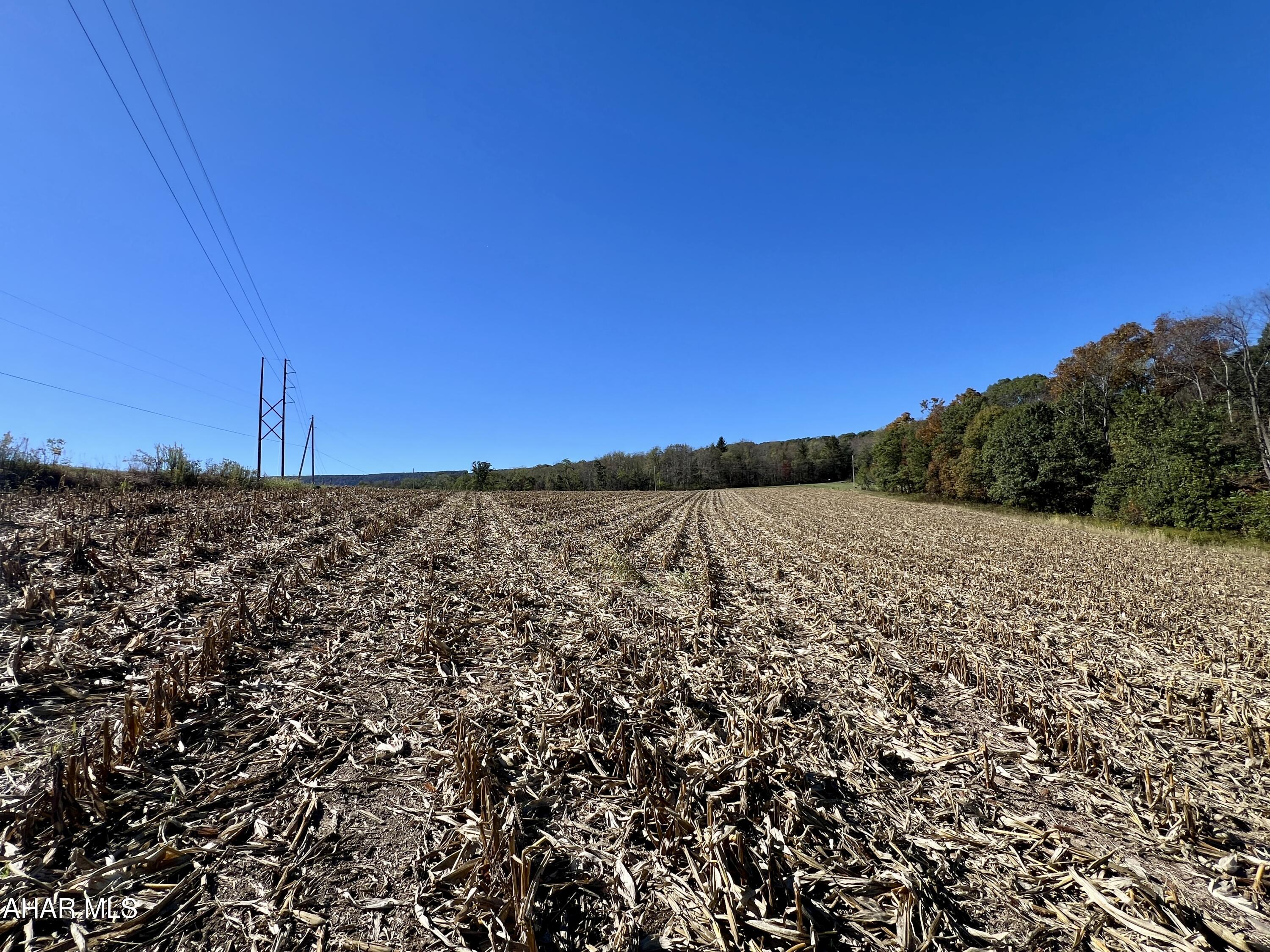 None - Commercial Sale