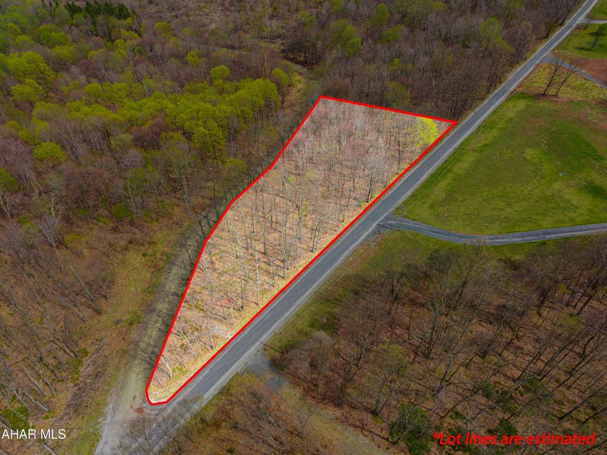 Dreaming of peace and privacy? This beautiful 2.04-acre wooded lot off Shortcut Road in Alum Bank is the perfect place to build your retreat! A perc test is already on file, making your building process easier. Located in the Chestnut Ridge School District and conveniently situated at the corner of Osman and Shortcut Roads, you'll find tranquility with easy access. Come explore the potential today!