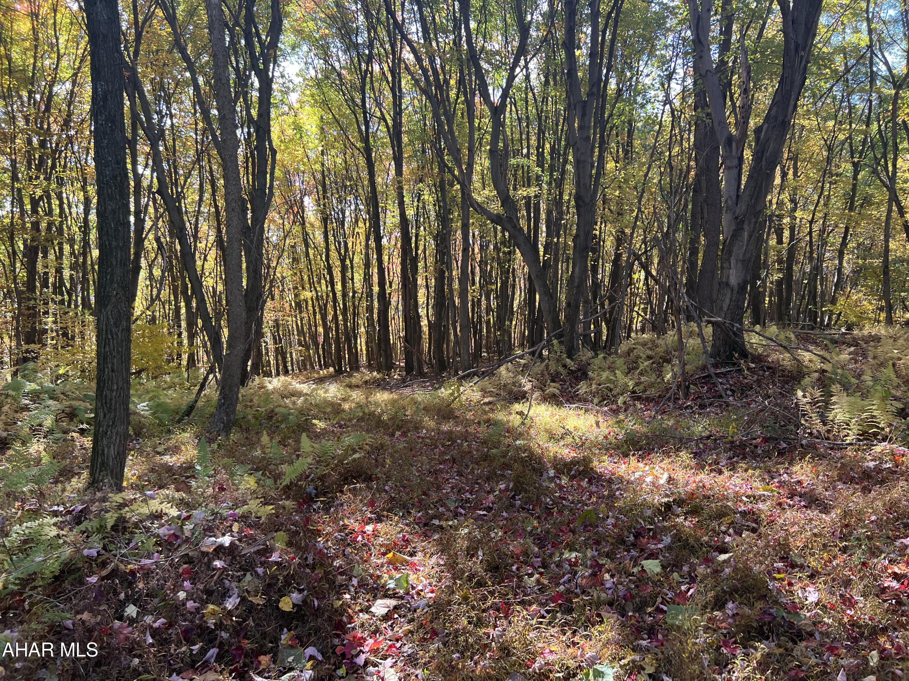 None - Commercial Sale