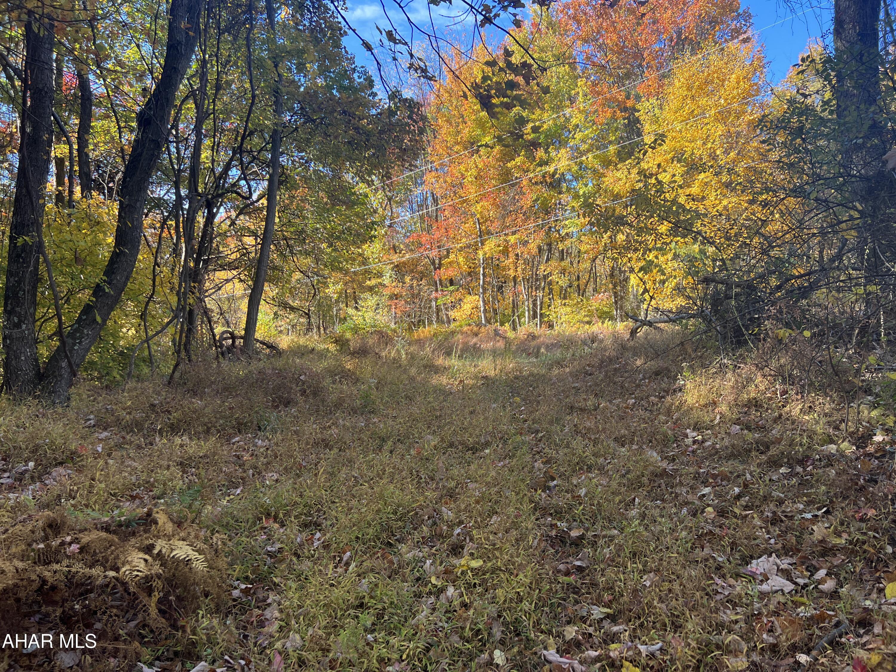 None - Commercial Sale