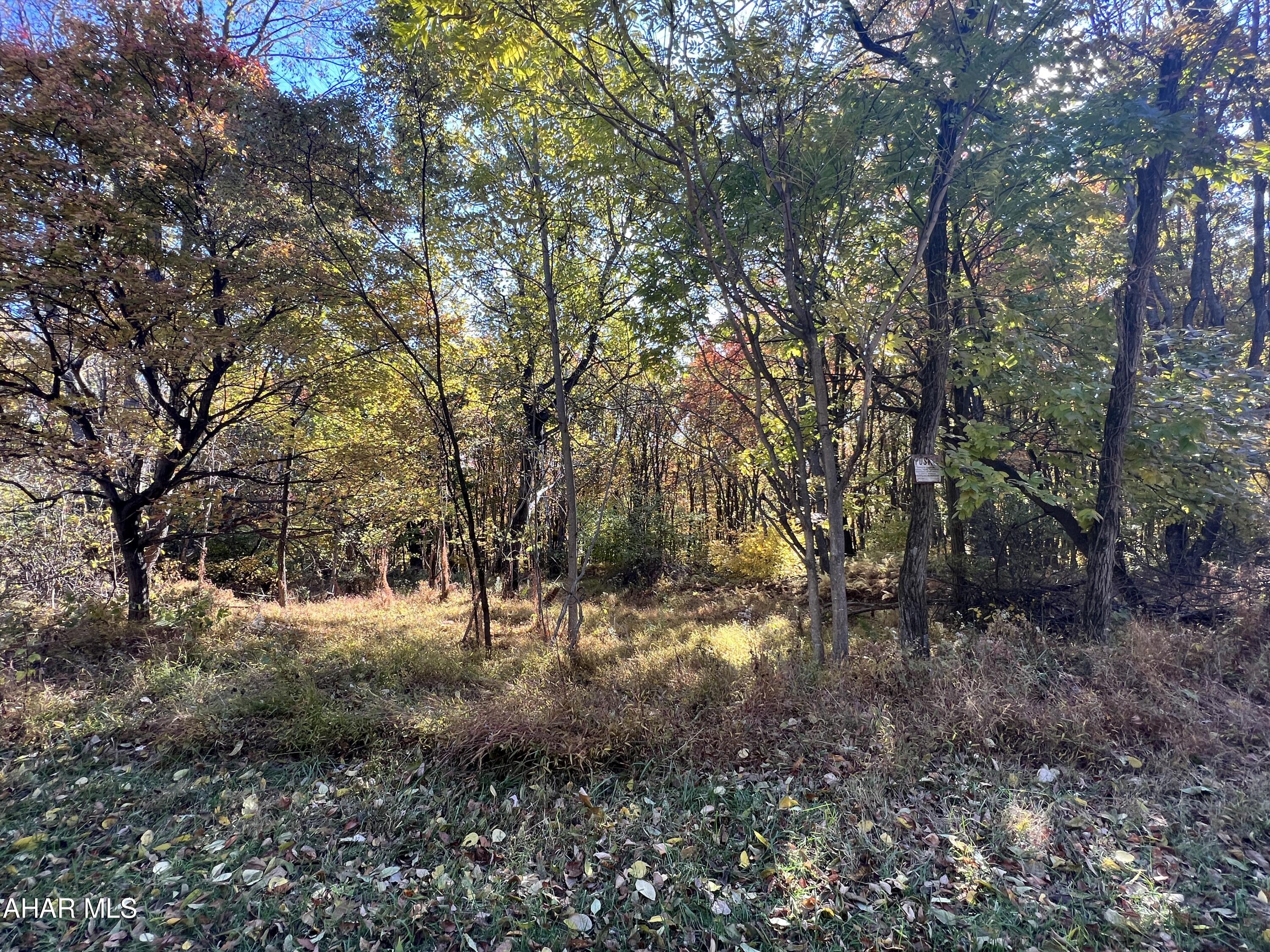 None - Commercial Sale