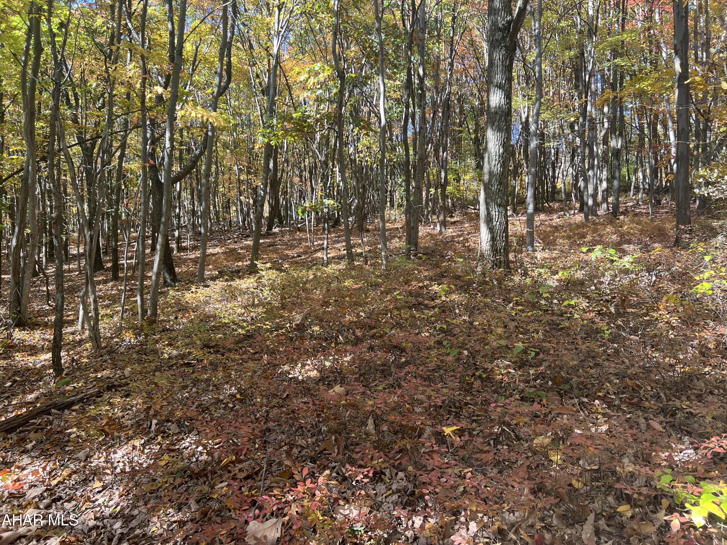 None - Commercial Sale