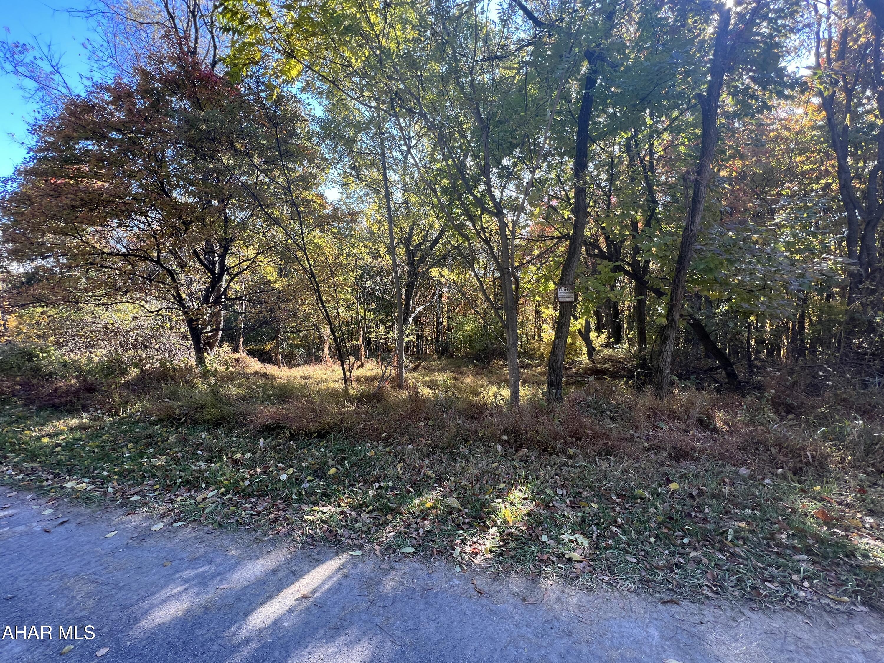 None - Commercial Sale