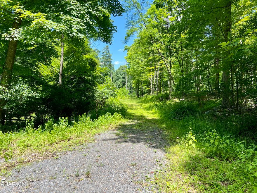184+/- acres bordering Buchanan State Forest. This property is an outdoorsman's dream and a great place to getaway and enjoy the great outdoors to hunt, ride ATVs & horses, hike, and so much more. Located only a few minutes from Lake Koon and Lake Gordon. Property had a select cut down approximately 5 years ago.