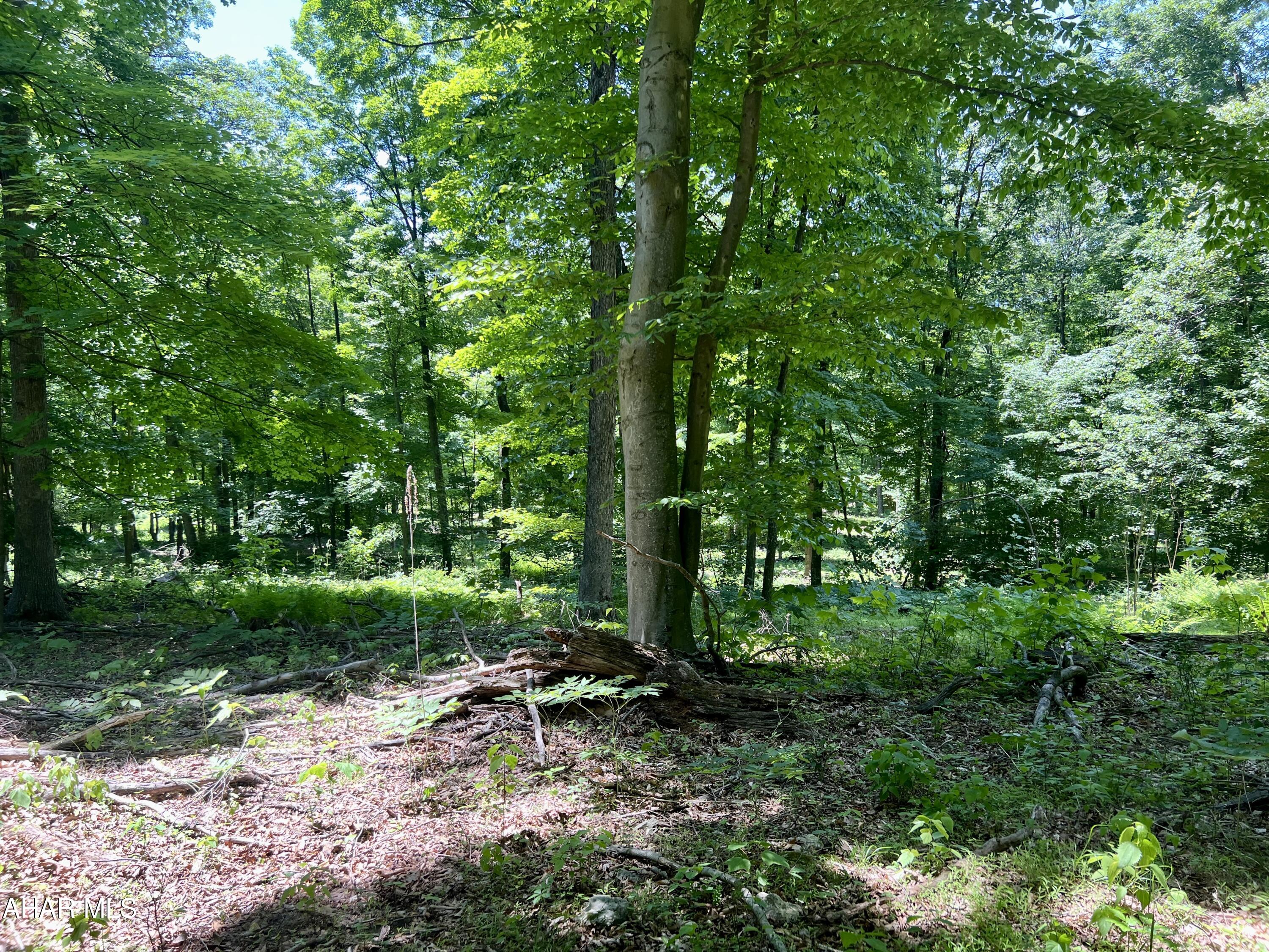 None - Commercial Sale