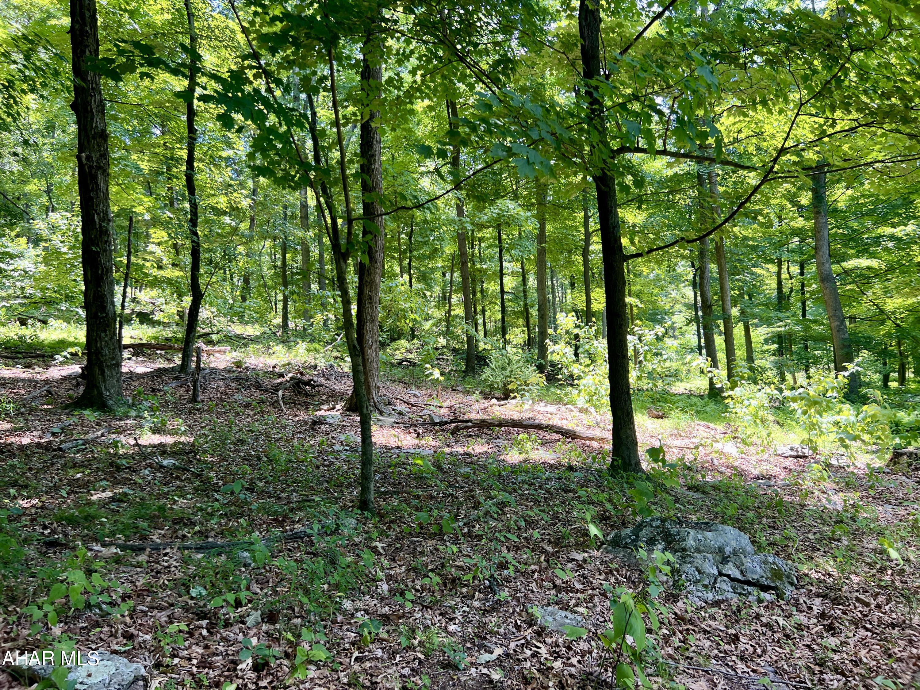 None - Commercial Sale