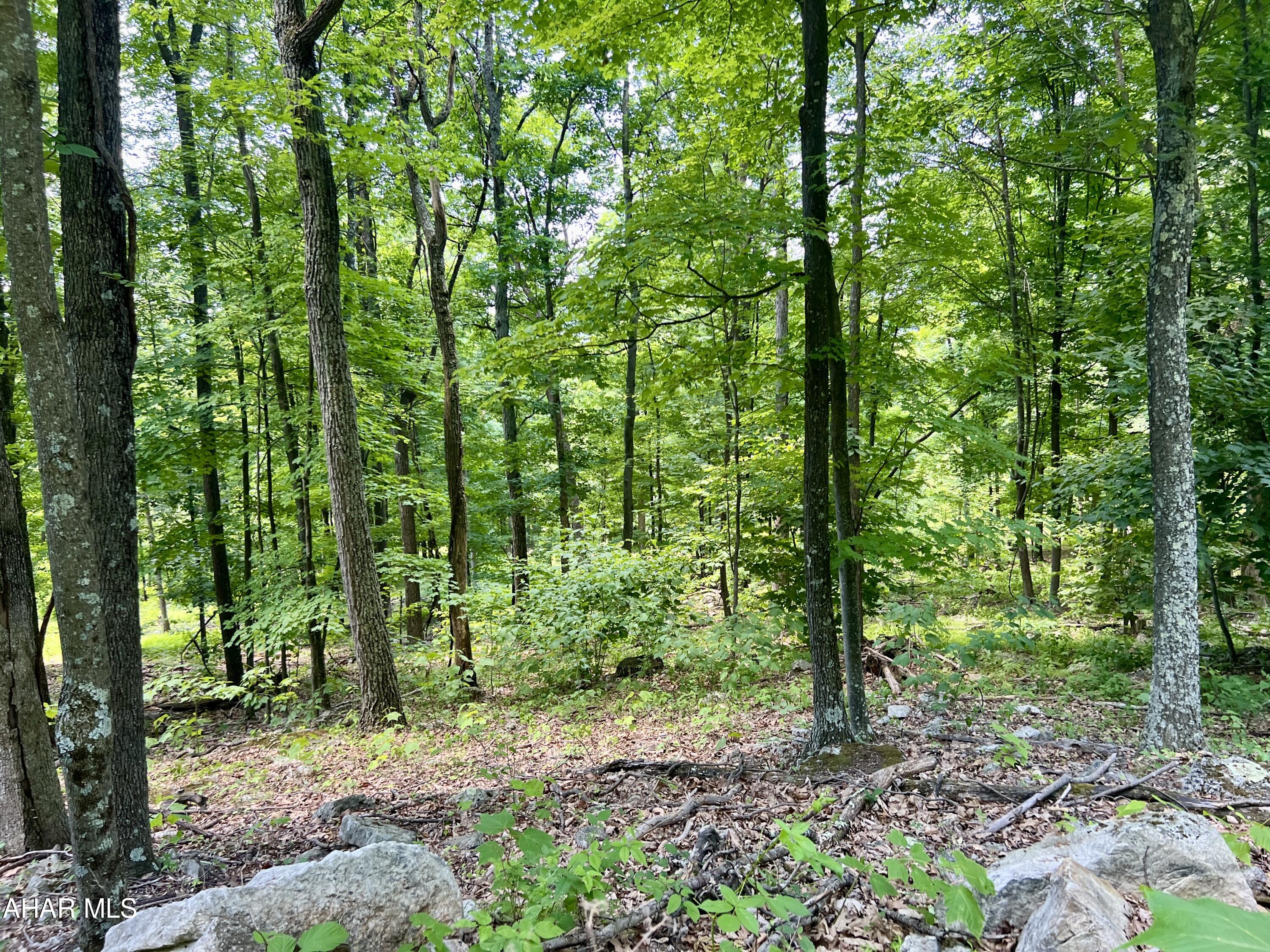 None - Commercial Sale