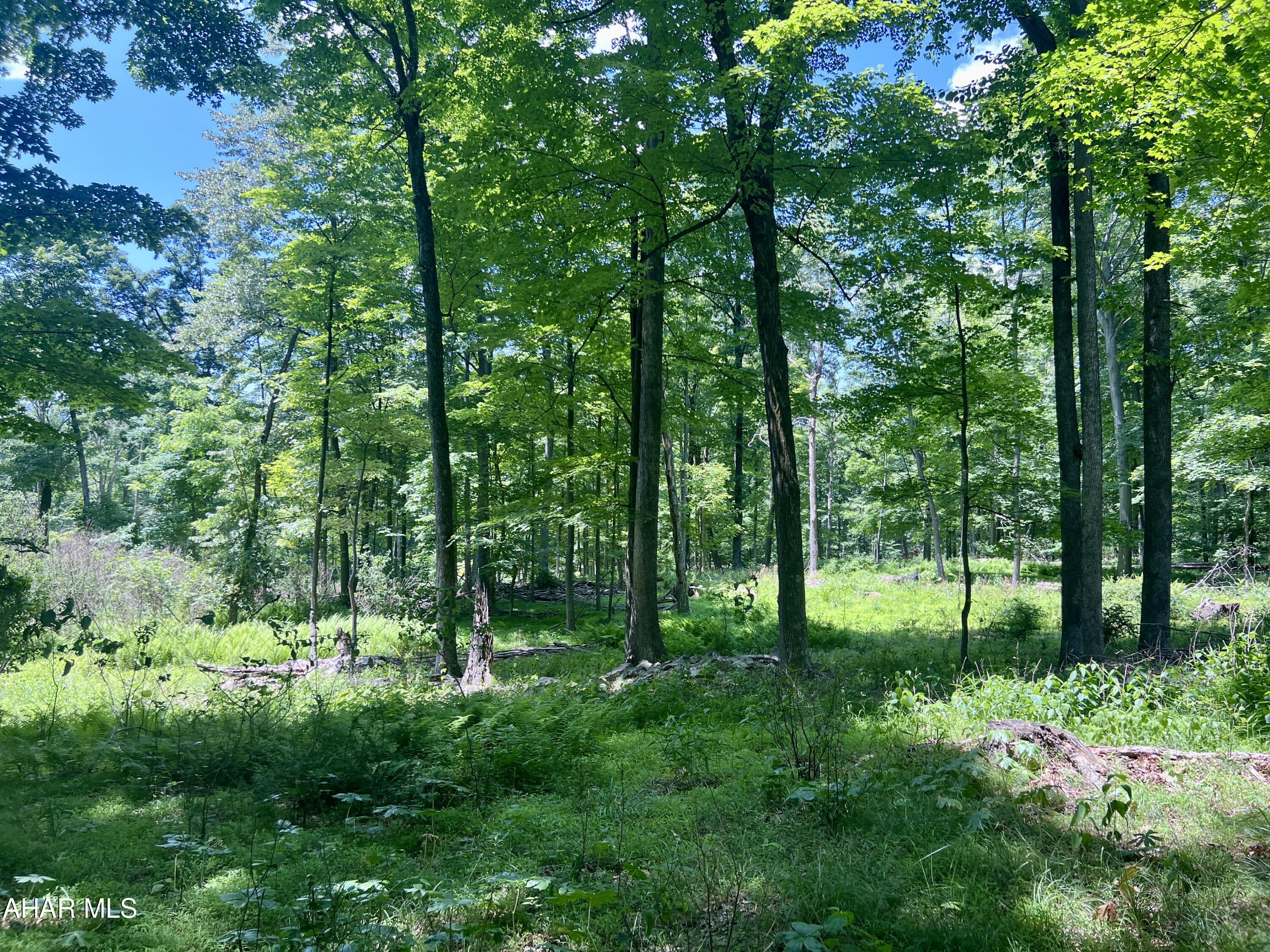 None - Commercial Sale