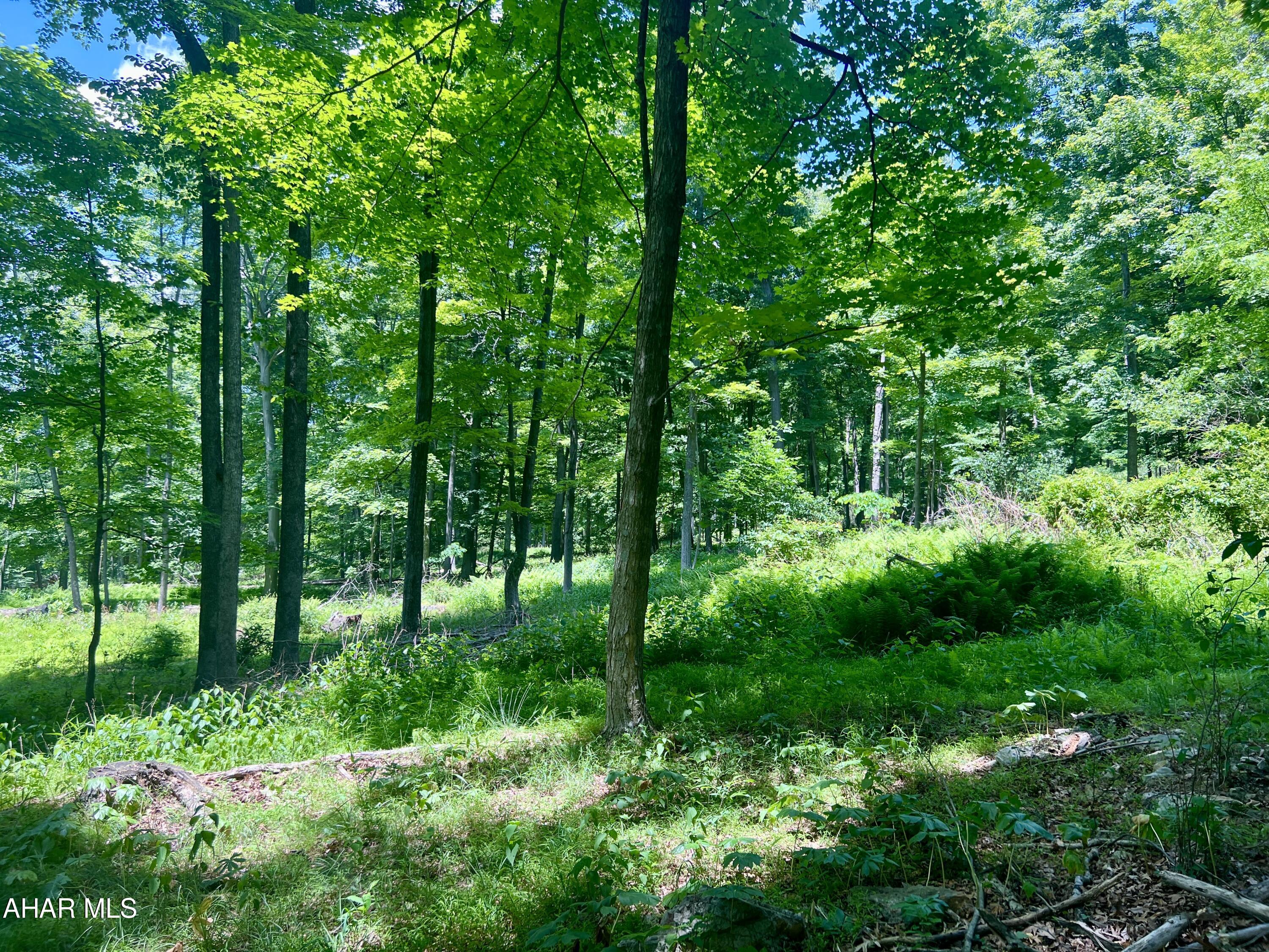 None - Commercial Sale