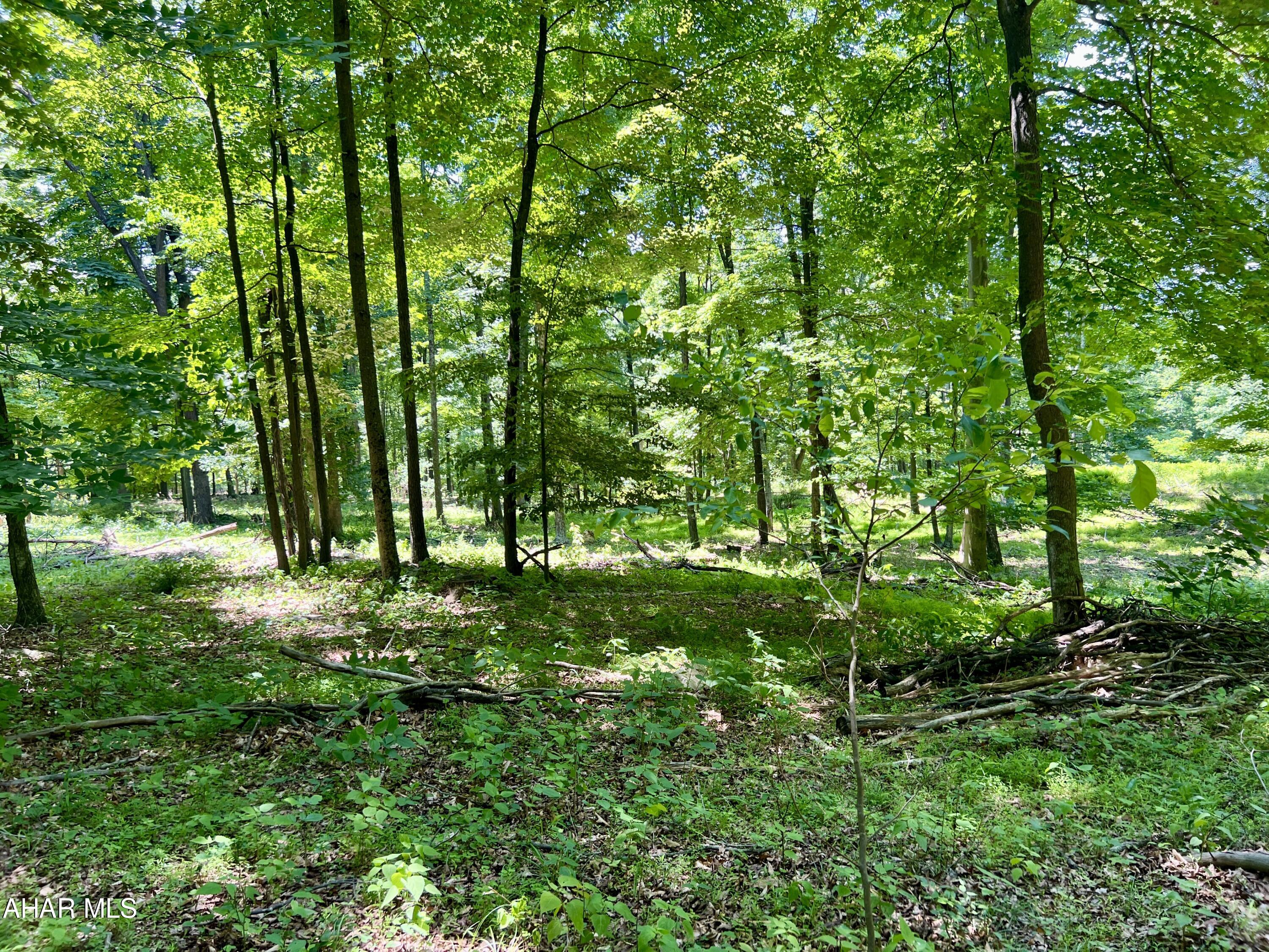 None - Commercial Sale