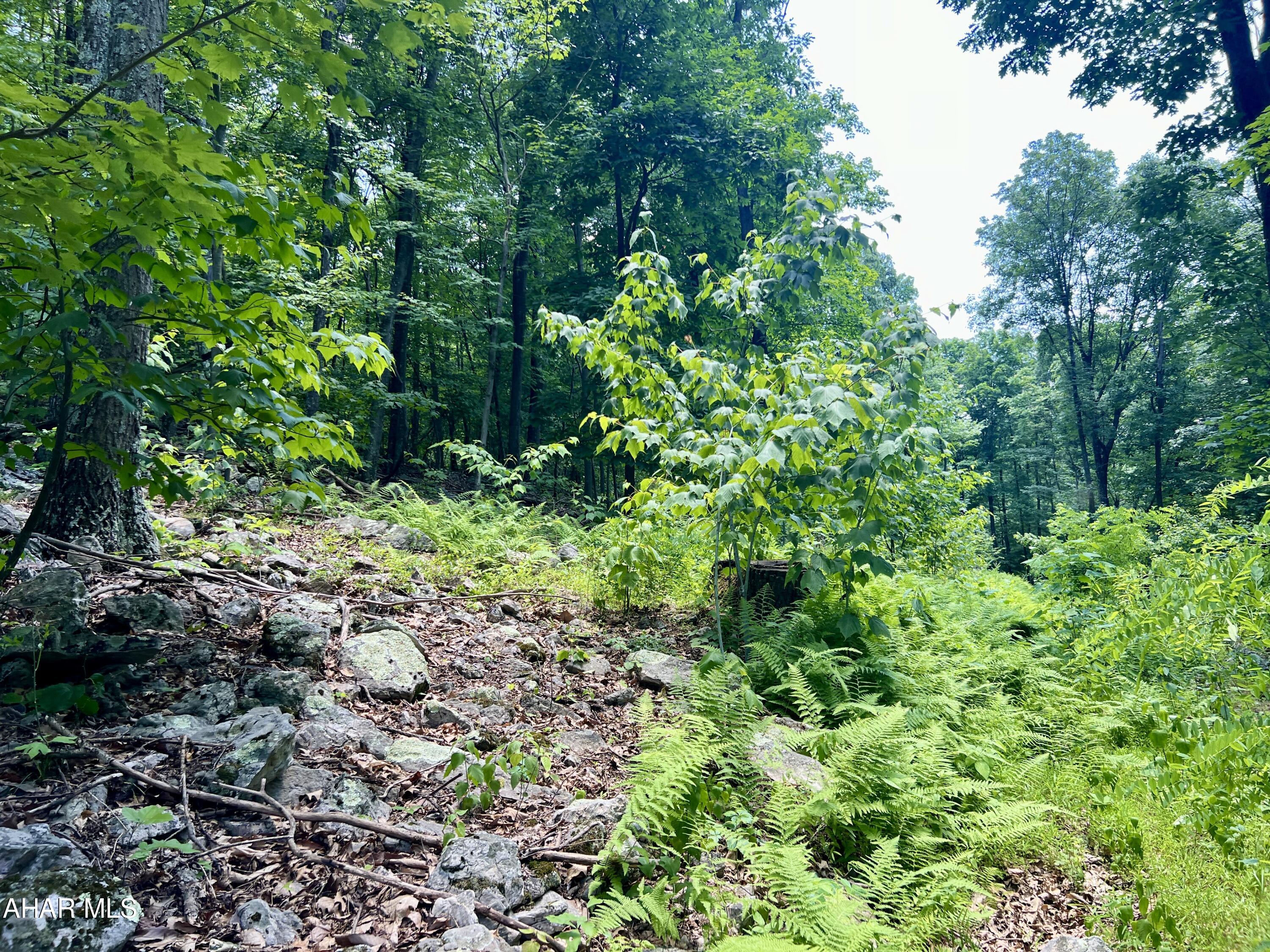 None - Commercial Sale