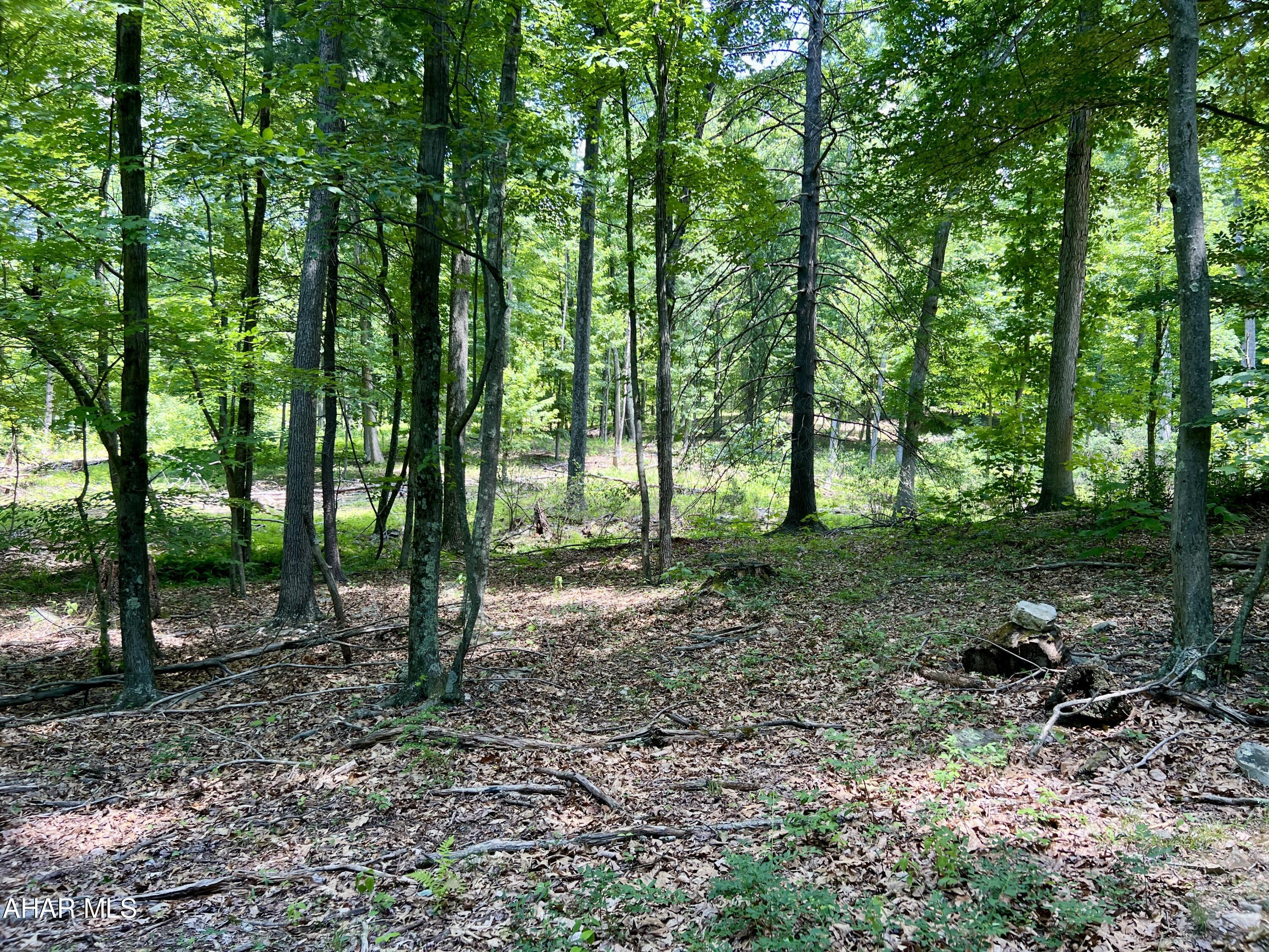 None - Commercial Sale