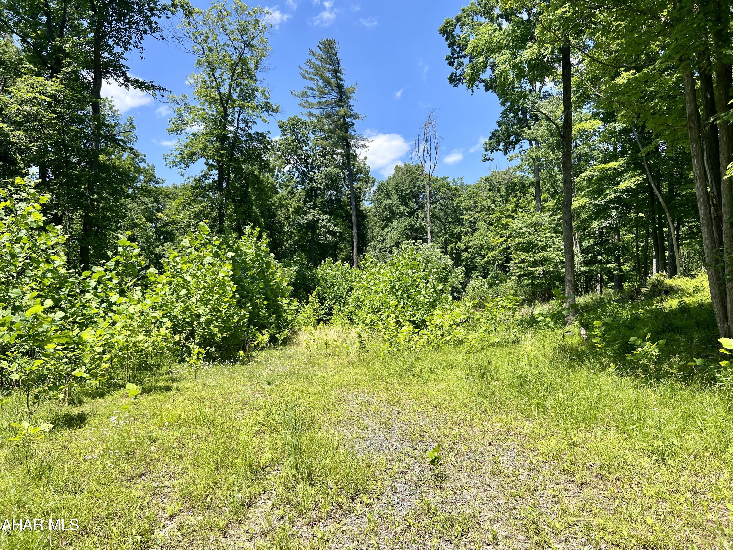 None - Commercial Sale